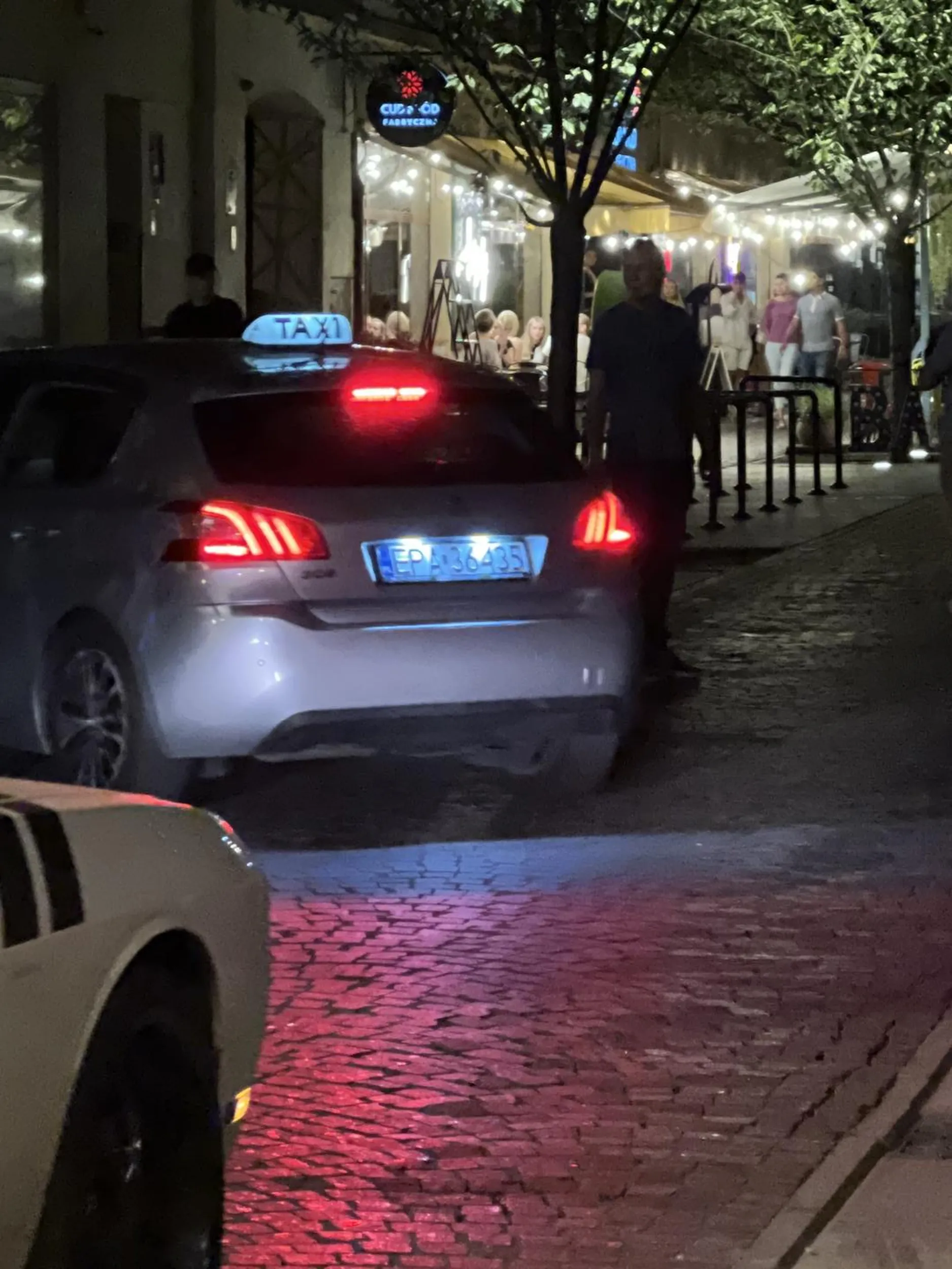 Chciałbym się dowiedzieć czy wszystko Ok jest z psem, który został przez ten samochód przejechany