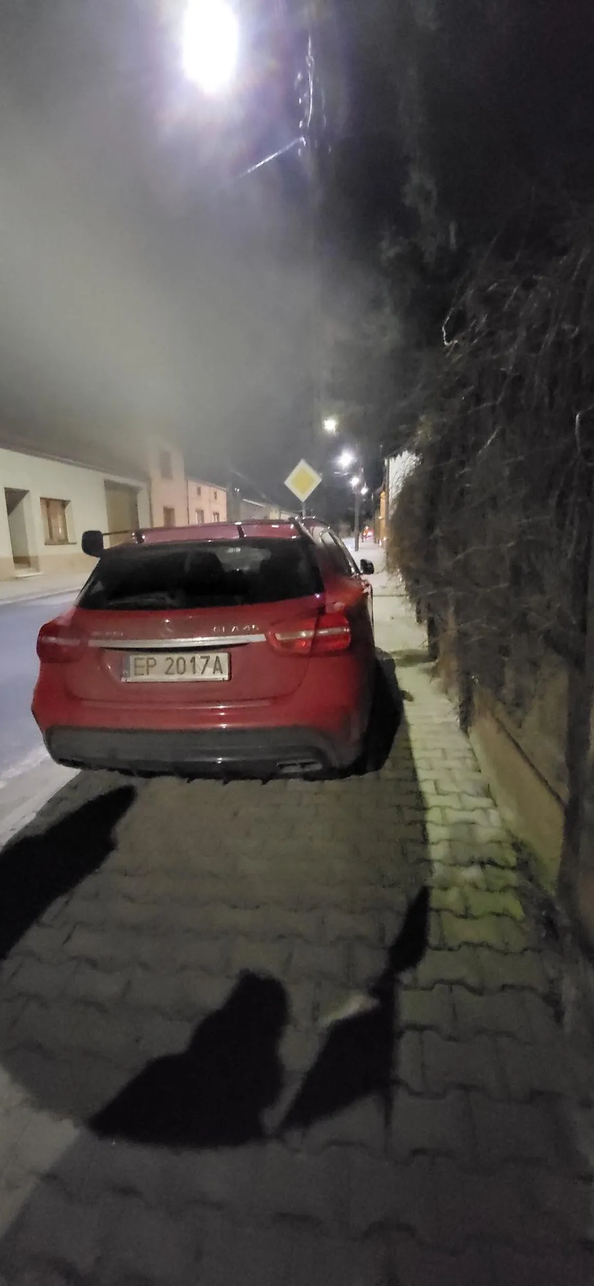 Za takie parkowanie powinny być bardzo wysokie kary