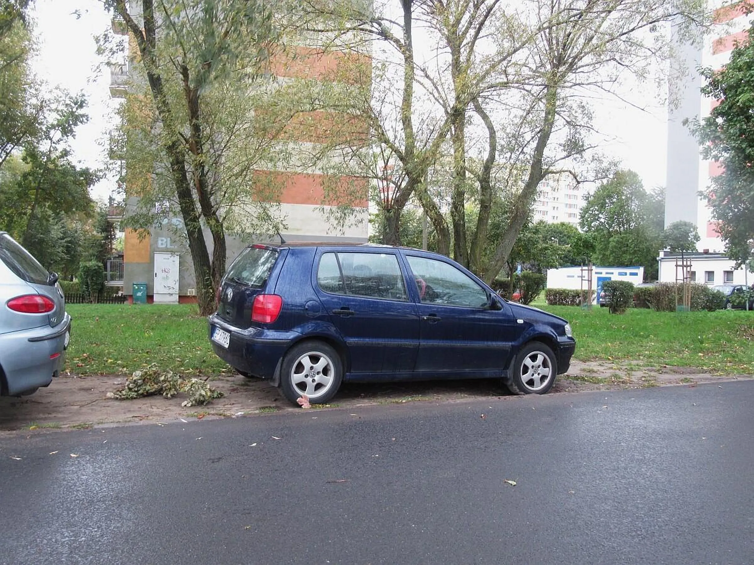 Bydło parkuje na trawniku!