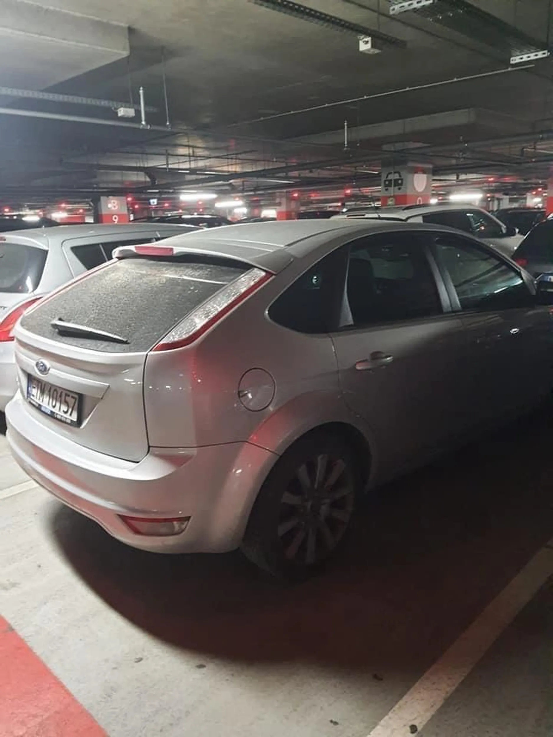 Zamknięcie psa w samochodzie.