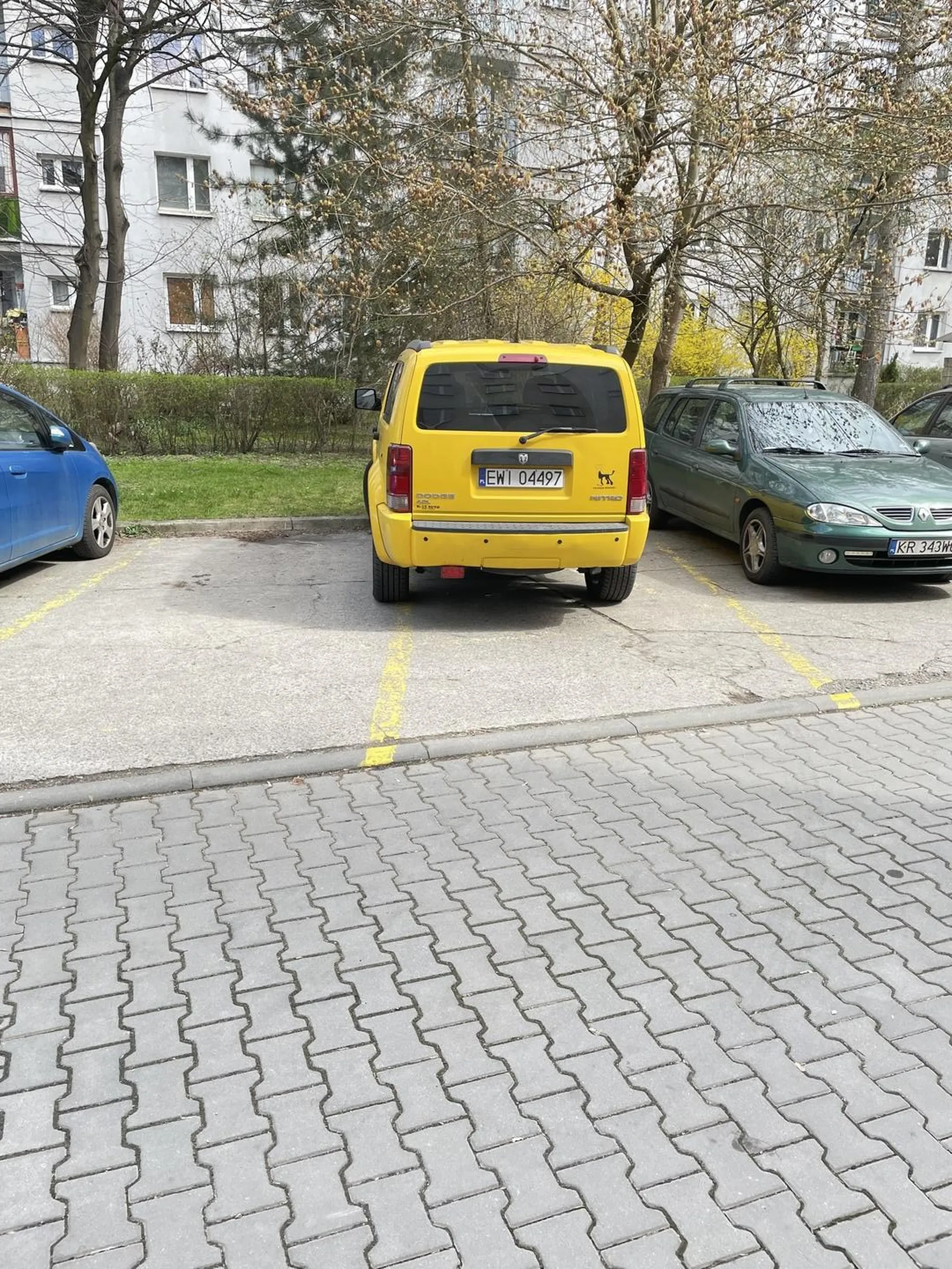 Mistrz parkowania, szkoda że miłości do innych uczestników ruchu drogowego nie ma takiej, jak do swojego psa