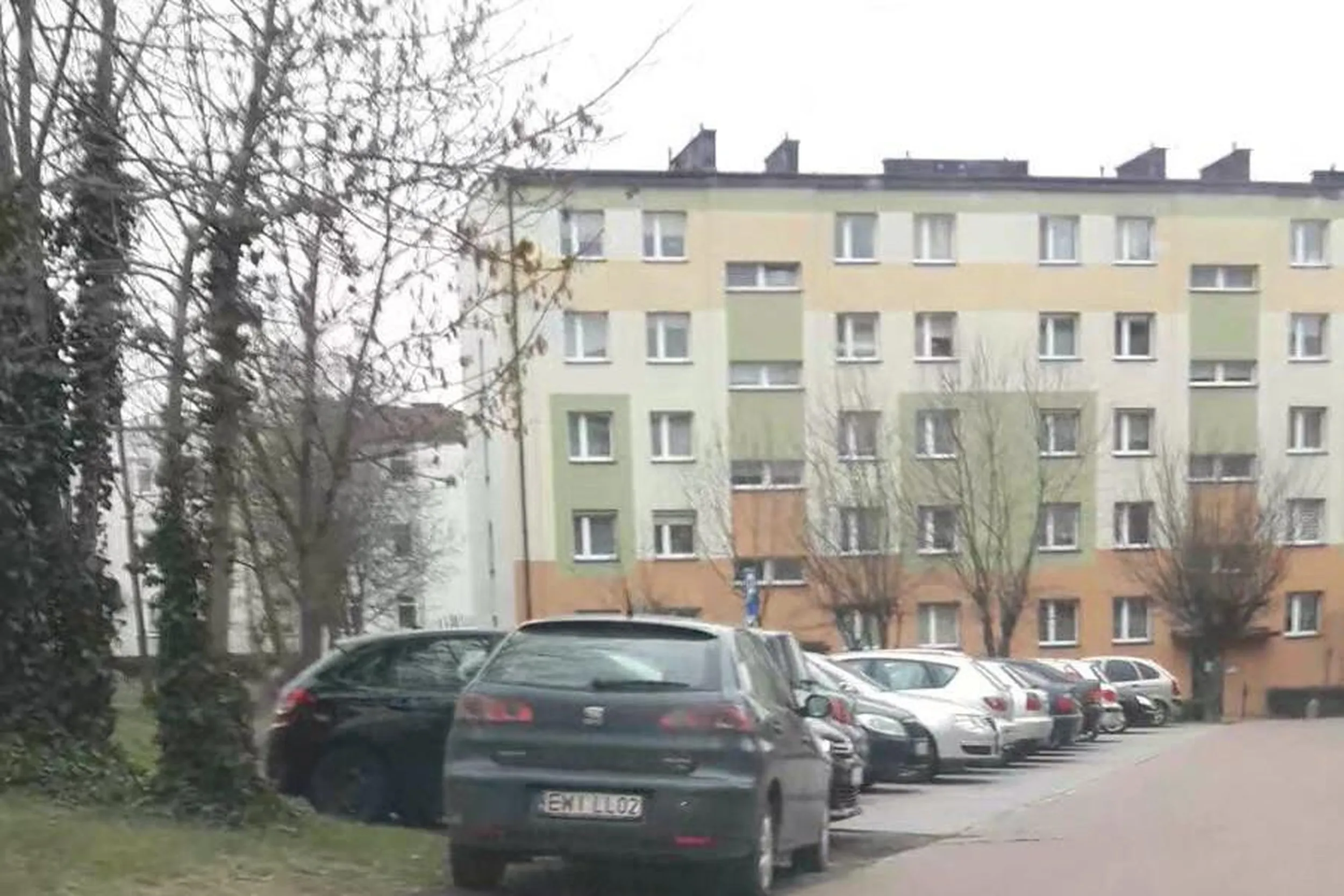 W pobliżu pełno wolnych miejsc, ale po co chodzić, lepiej zaparkować nielegalnie tuż przy drzwiach i robić z trawnika błoto.