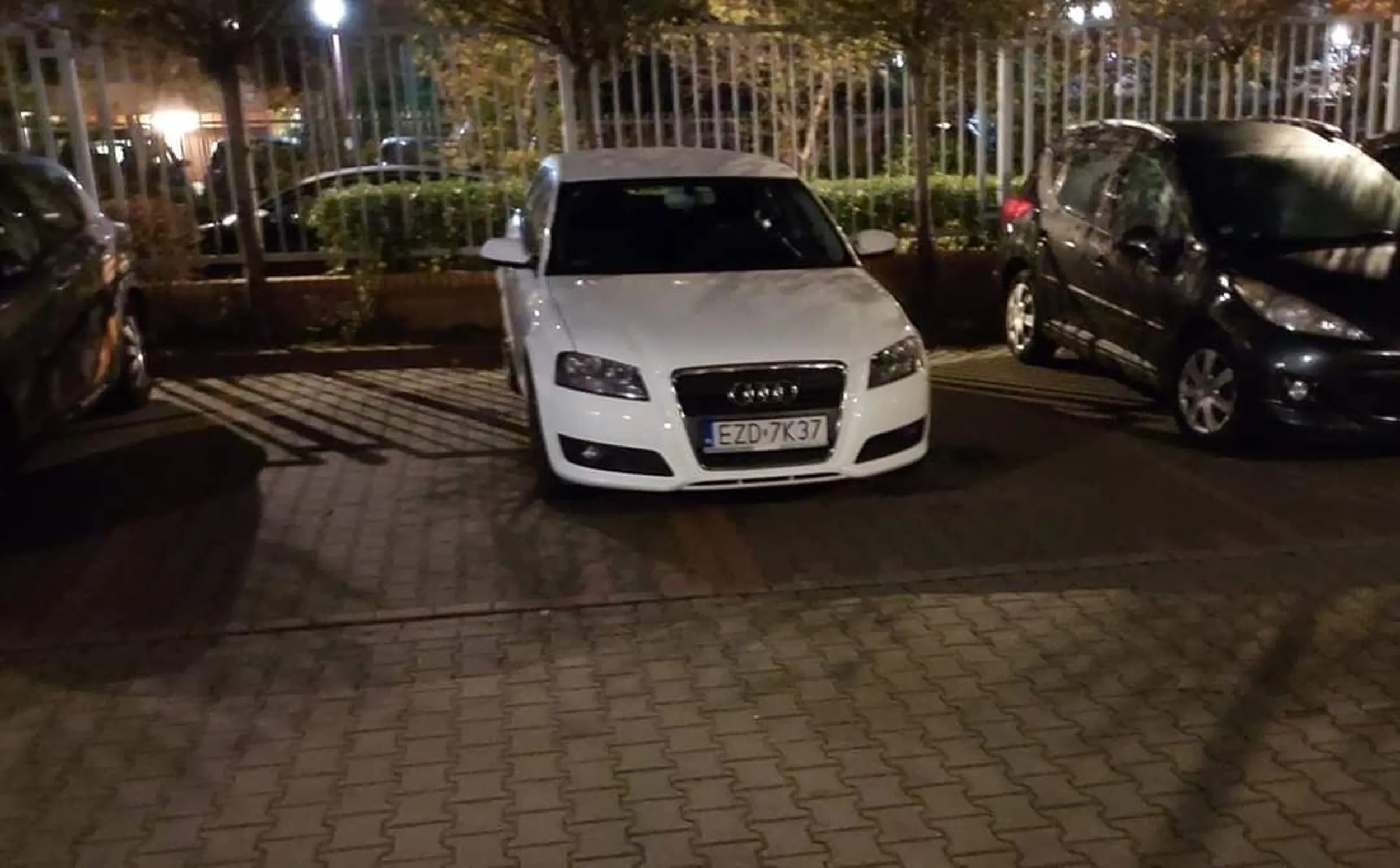 Uczy się cały czas parkować. Nie potrafi ale się uczy!