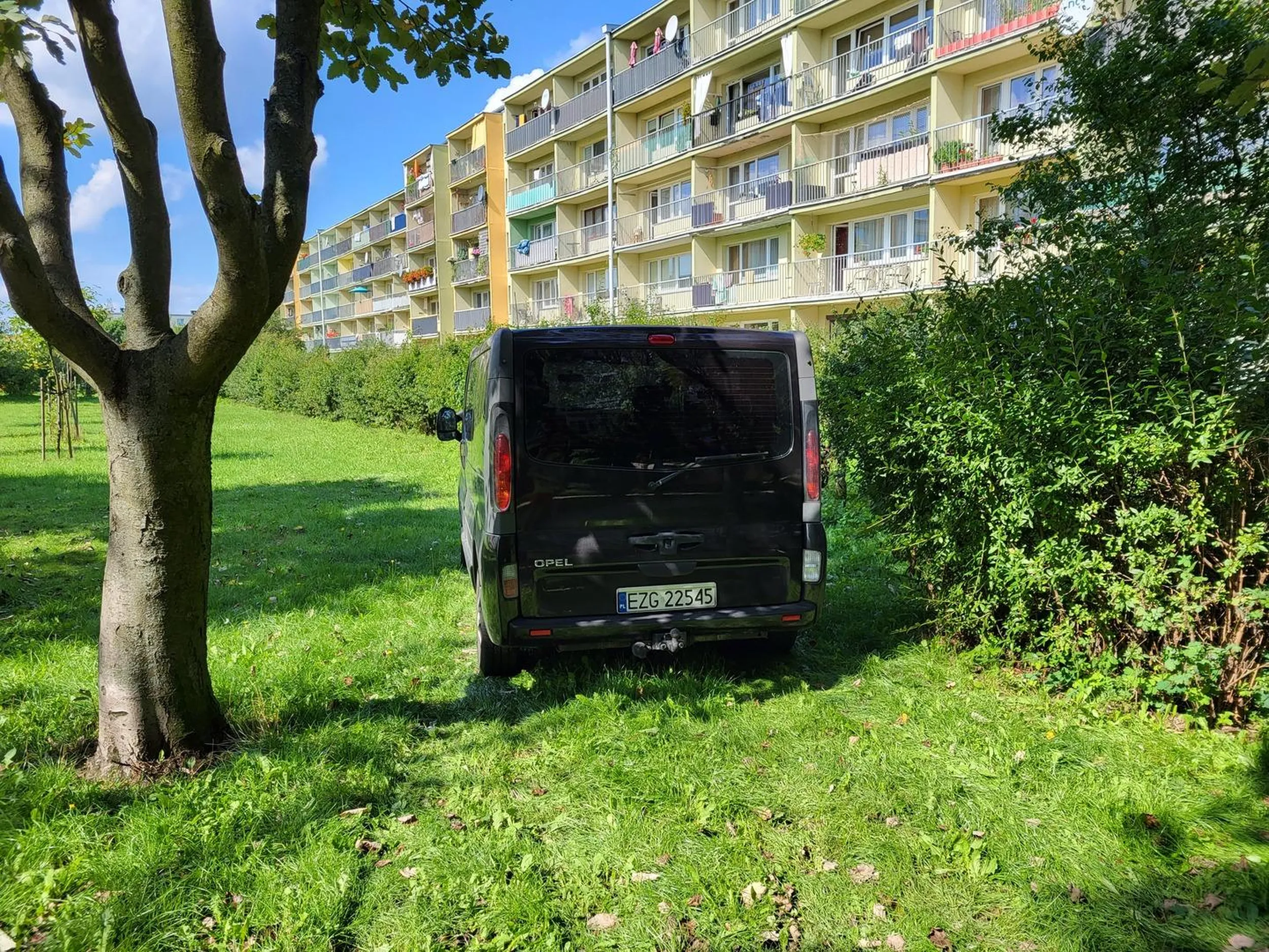 Przejeżdża przez chodniki i parkuje na trawniku między blokami. To chyba jakiś pojazd uprzywilejowany...