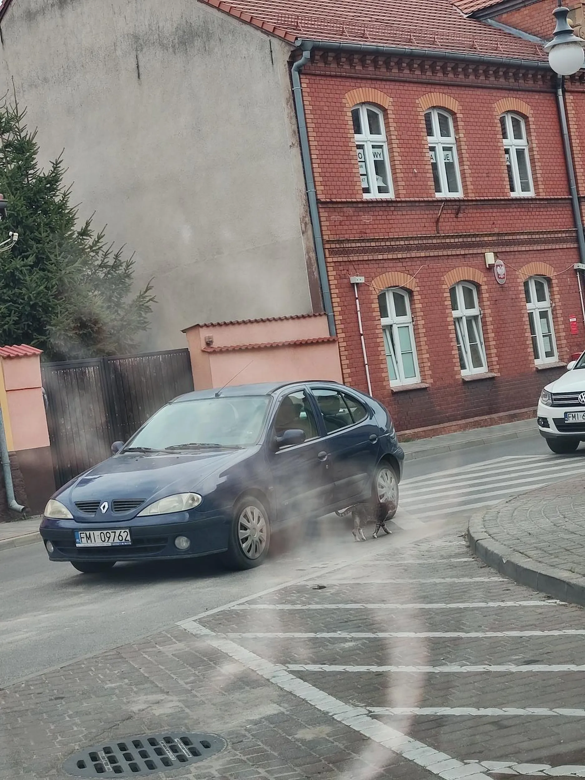 Proszę nauczyć się parkować