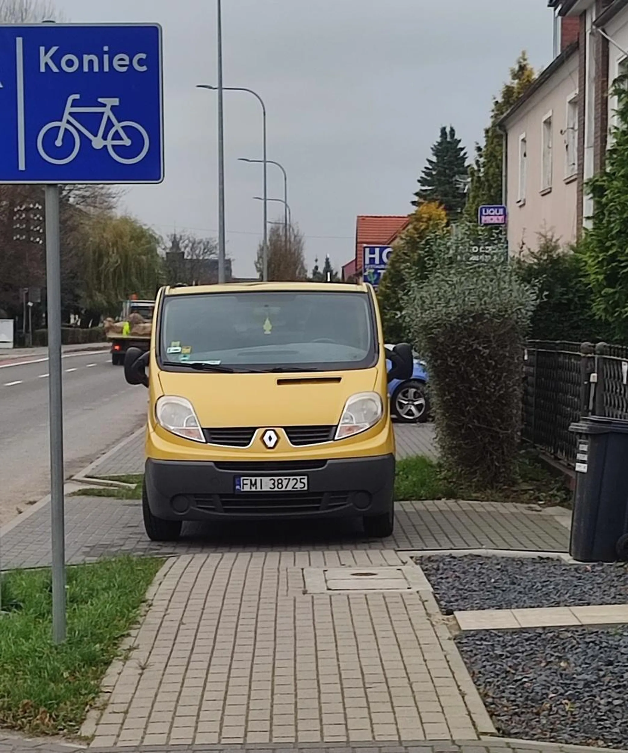 ta cipa stoi na chodniku i myśli że jemu wszystko wolno.
