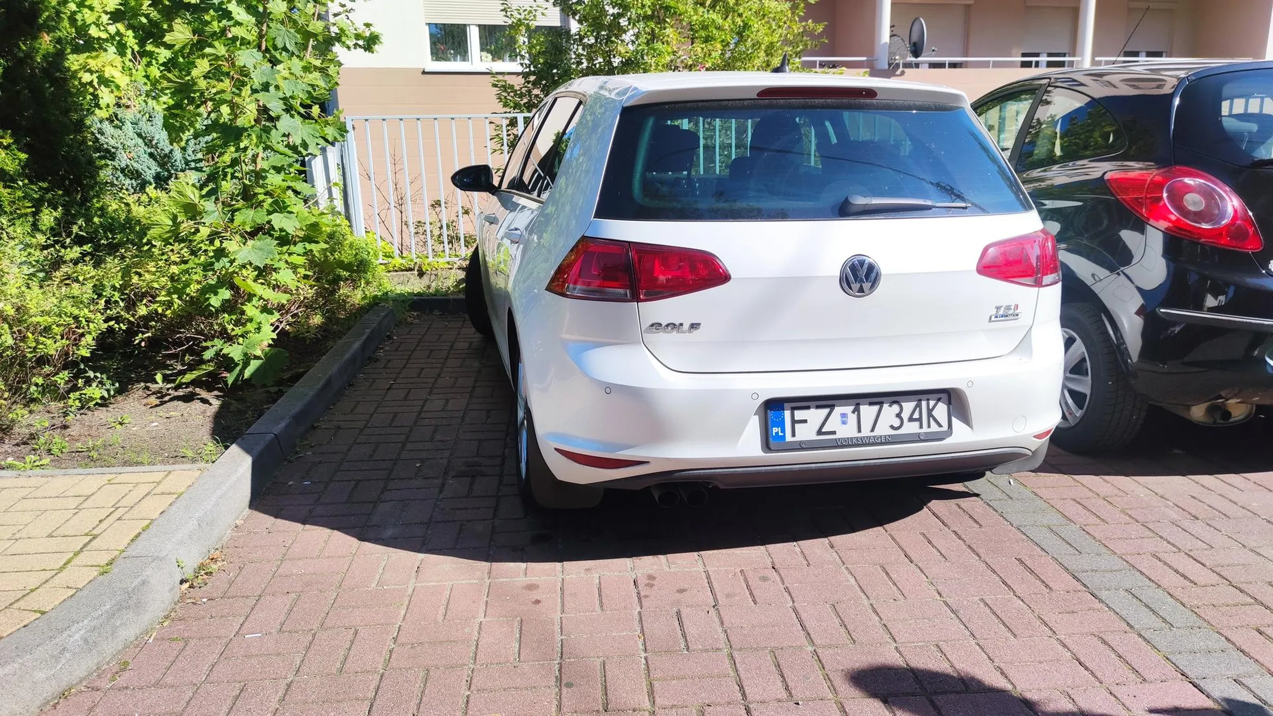 Typowy kierowca golfa