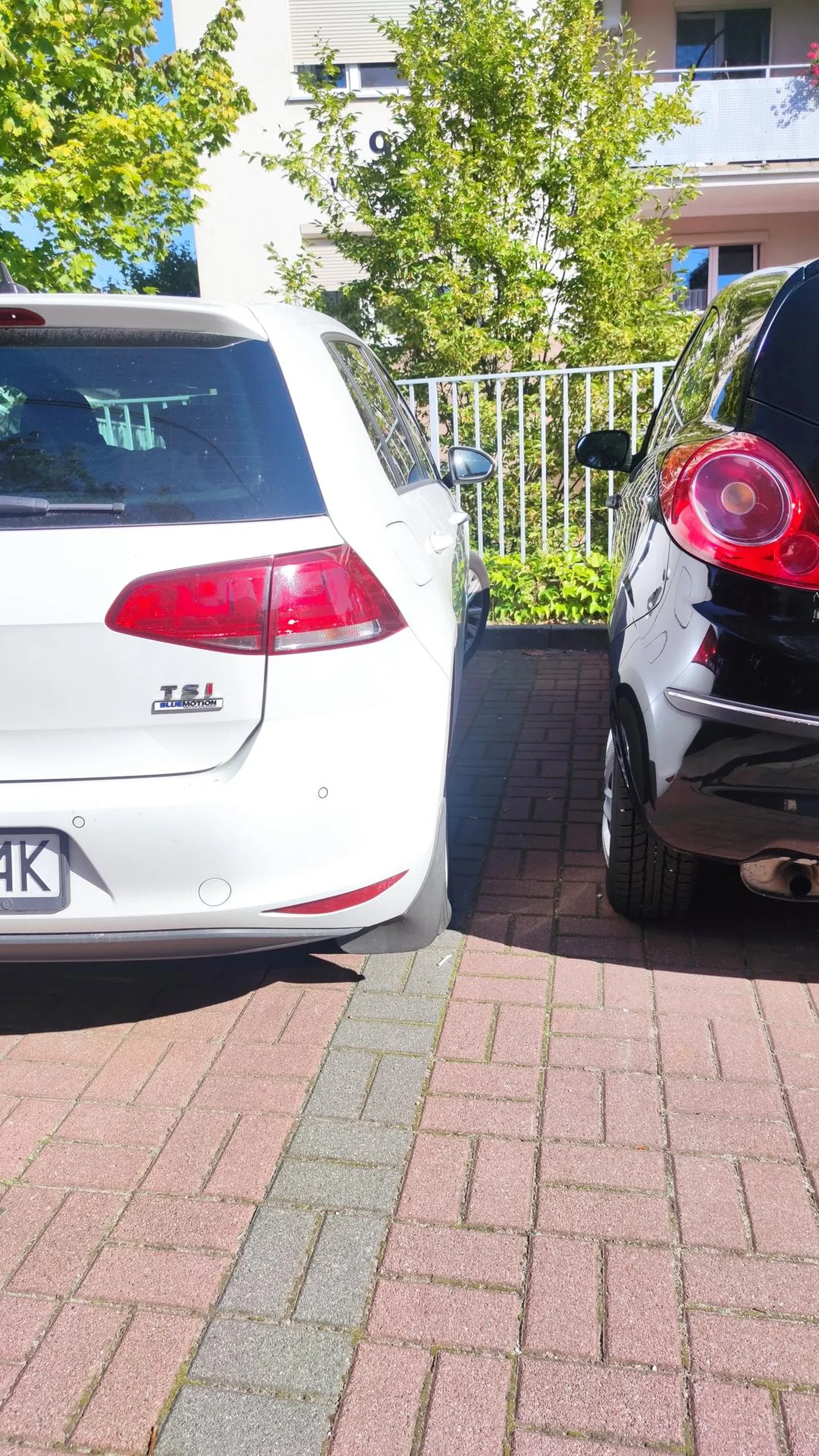 Typowy kierowca golfa