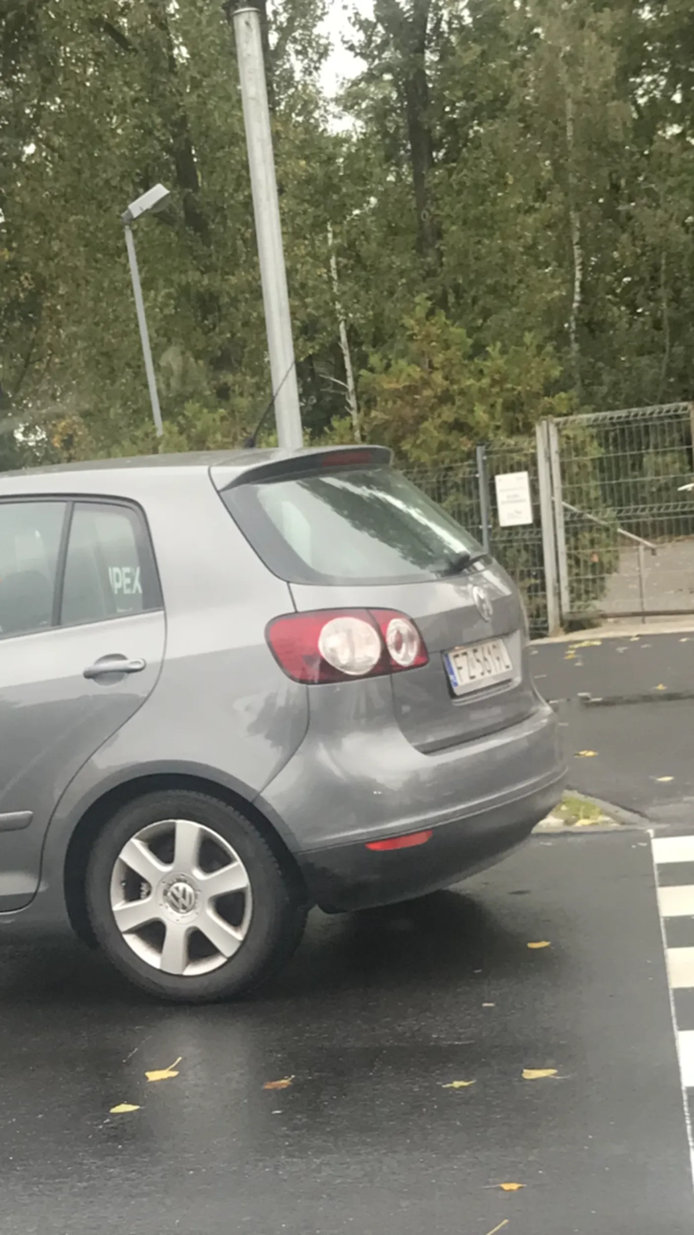 Szczeniak wyrzuca pety przez okno z samochodu .