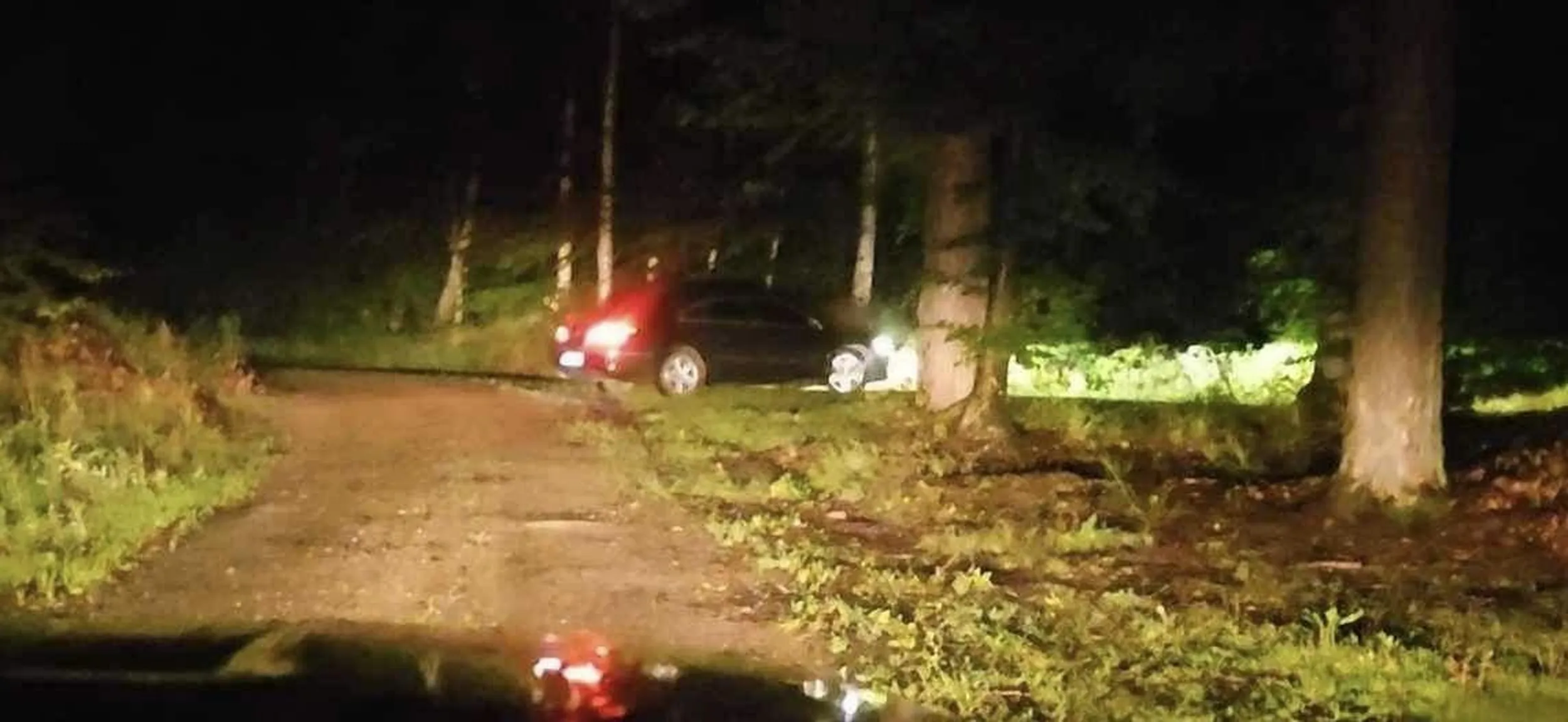 Ewidentny problem do traw i roślinności. Parkowanie po trawnikach, pukanie pewnie nie swojej baby w środku lasu w passacie. Tak trzeba żyć, o to chodzi.