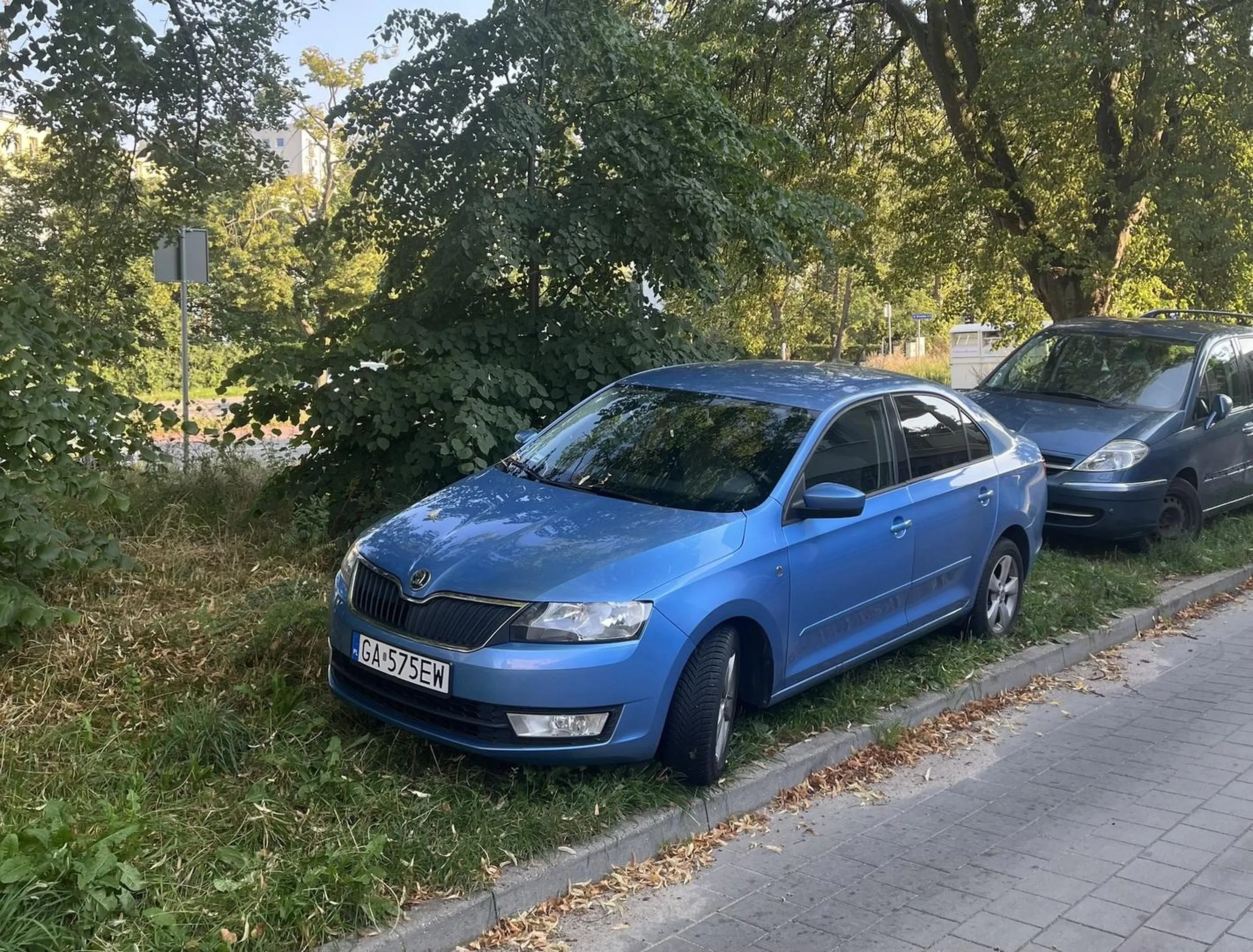 Janusz cwaniak parkuje na trawniku, mimo, że tuż obok jest wielki parking. Ale Janusz cwaniak oczywiście nie zapłaci, woli rozjeżdżać zieleń.