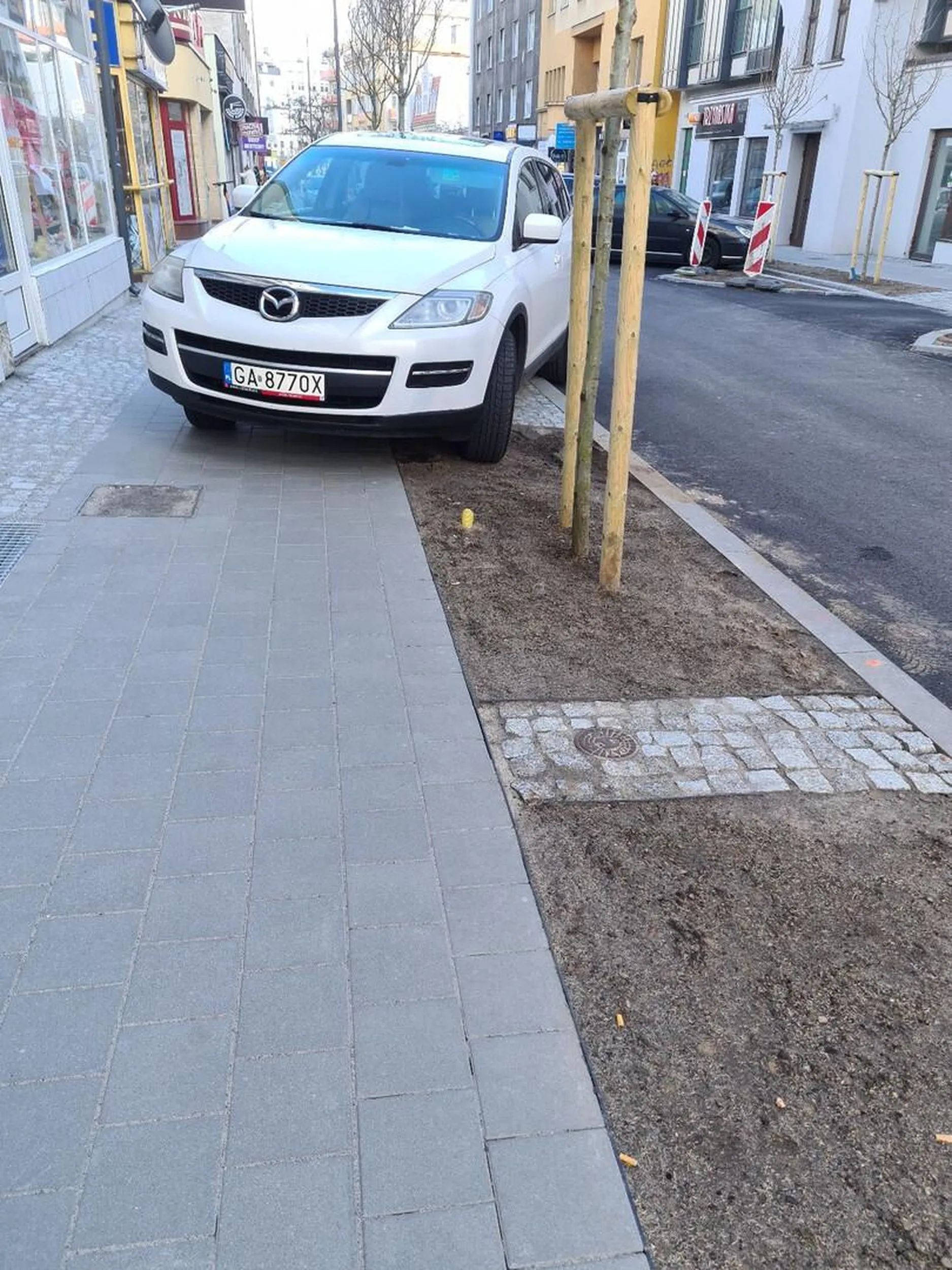 Władczyni chodników i świeżo założonych trawników na Abrahama