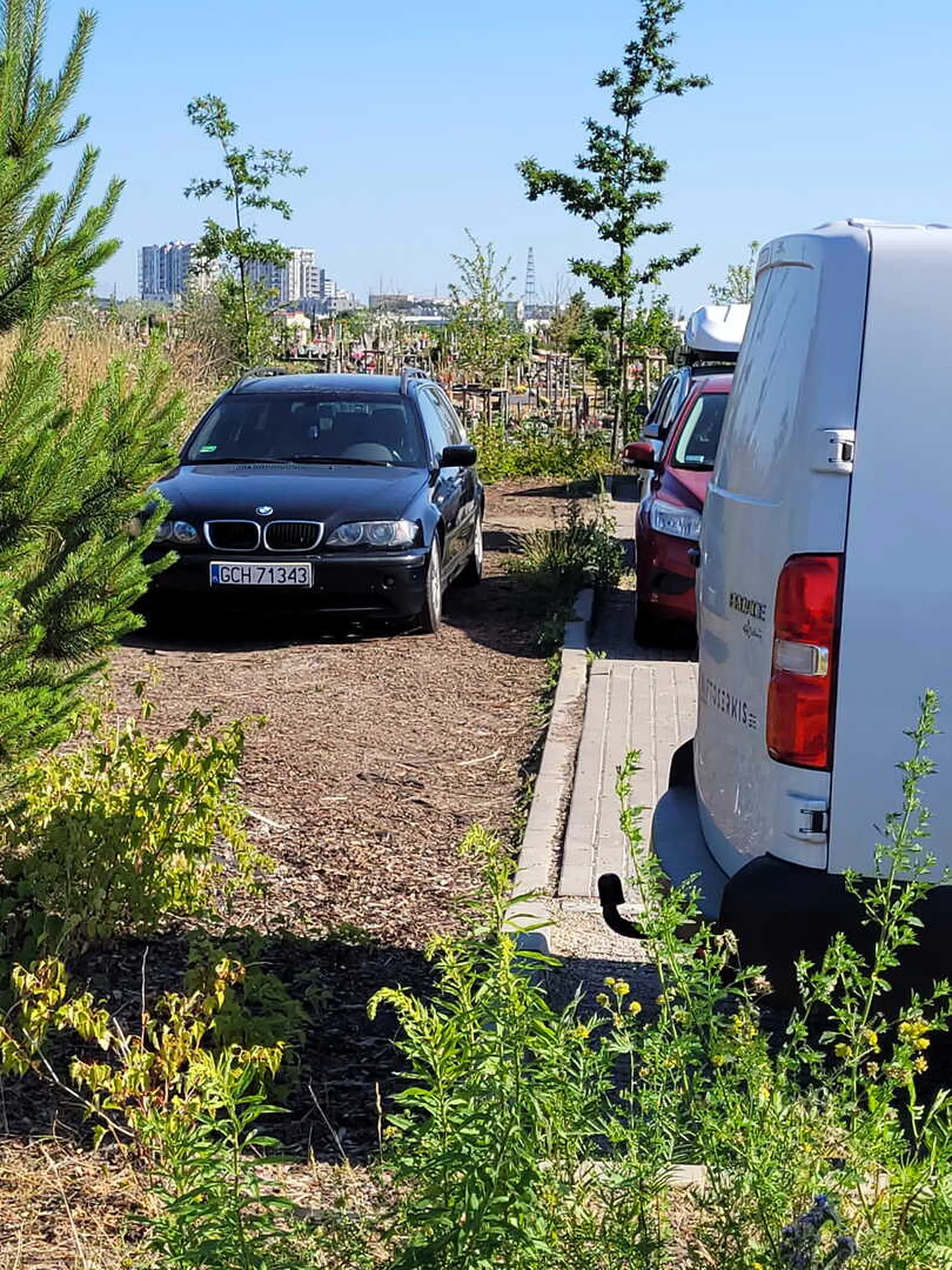 Na gościnnych występach w gdańskich krzakach