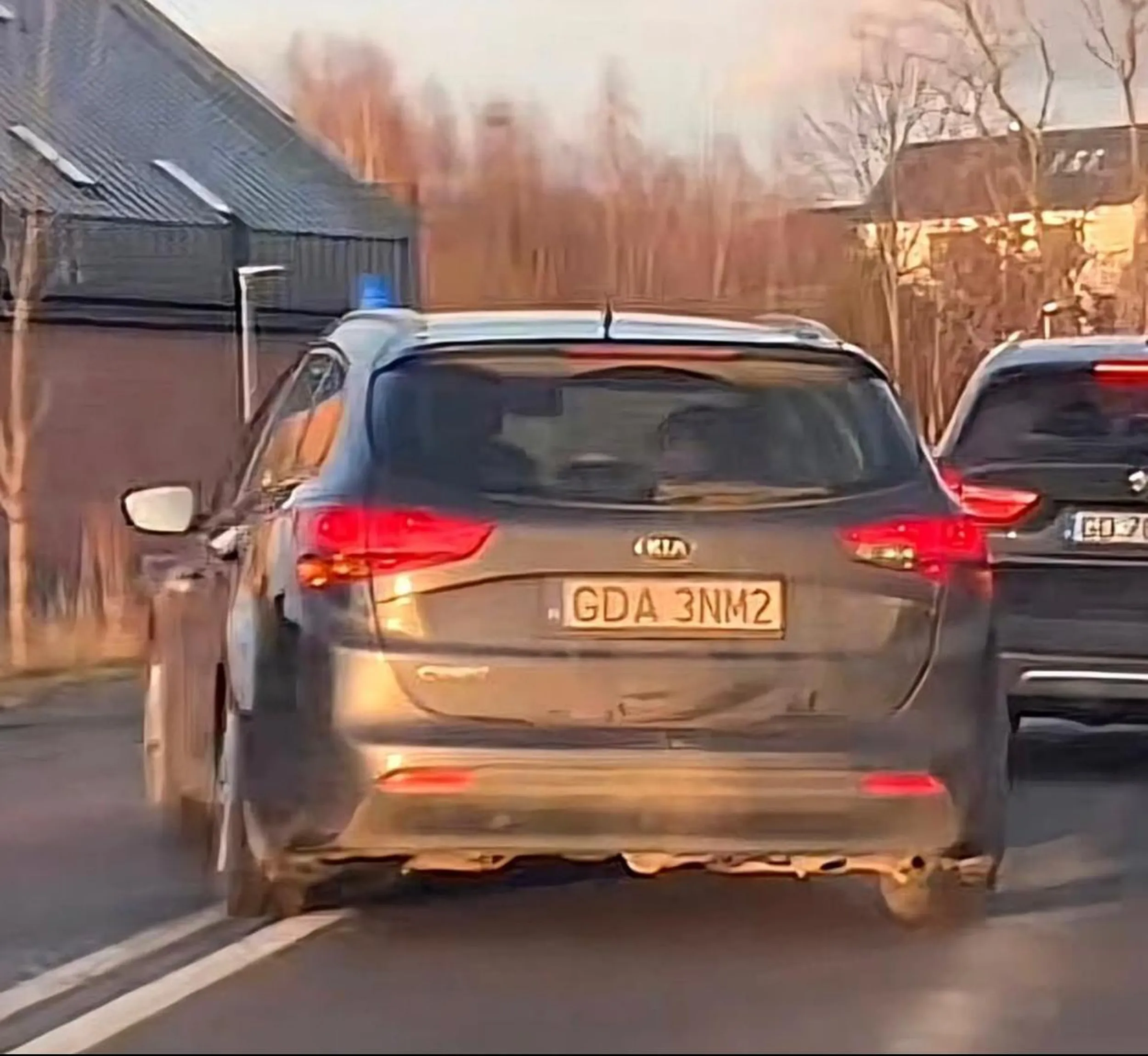 Kijanka ceed psy na wolności Pruszcz Gd i okolice