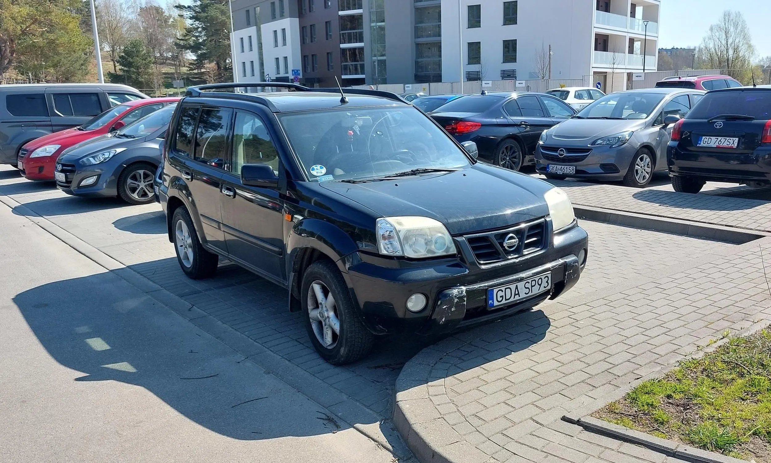 Mistrz parkowania. Prawo jazdy z chipsów.