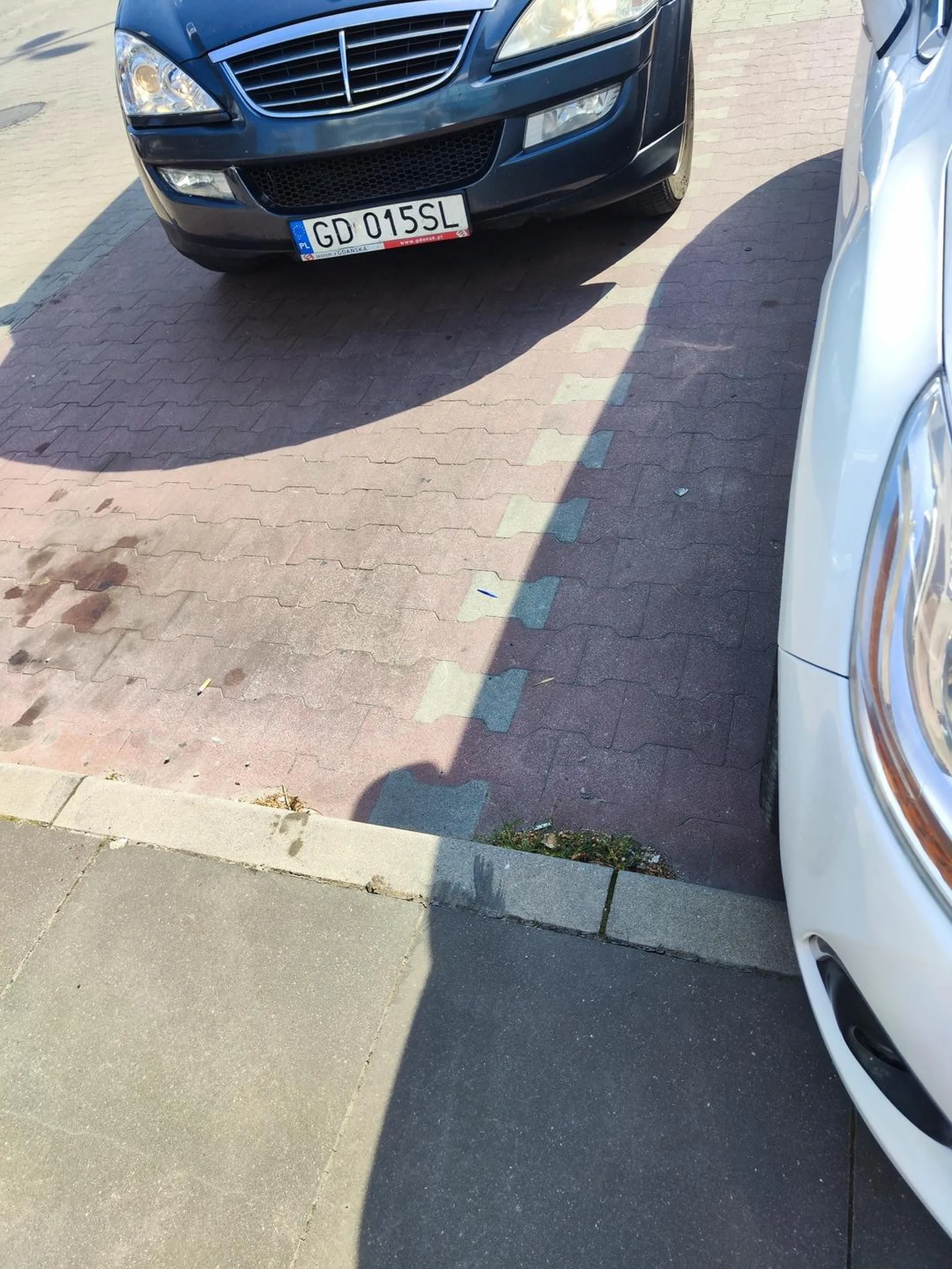 Tym autem jeżdżą rumuńscy wciskacze tanich chińskich podróbek i udają ekipę z budowy. Że niby mają materiały budowlane do opuchnięcia które jak nie sprzedadzą to będą zmuszeni wyrzucić... Szkoda strzępić ryja...