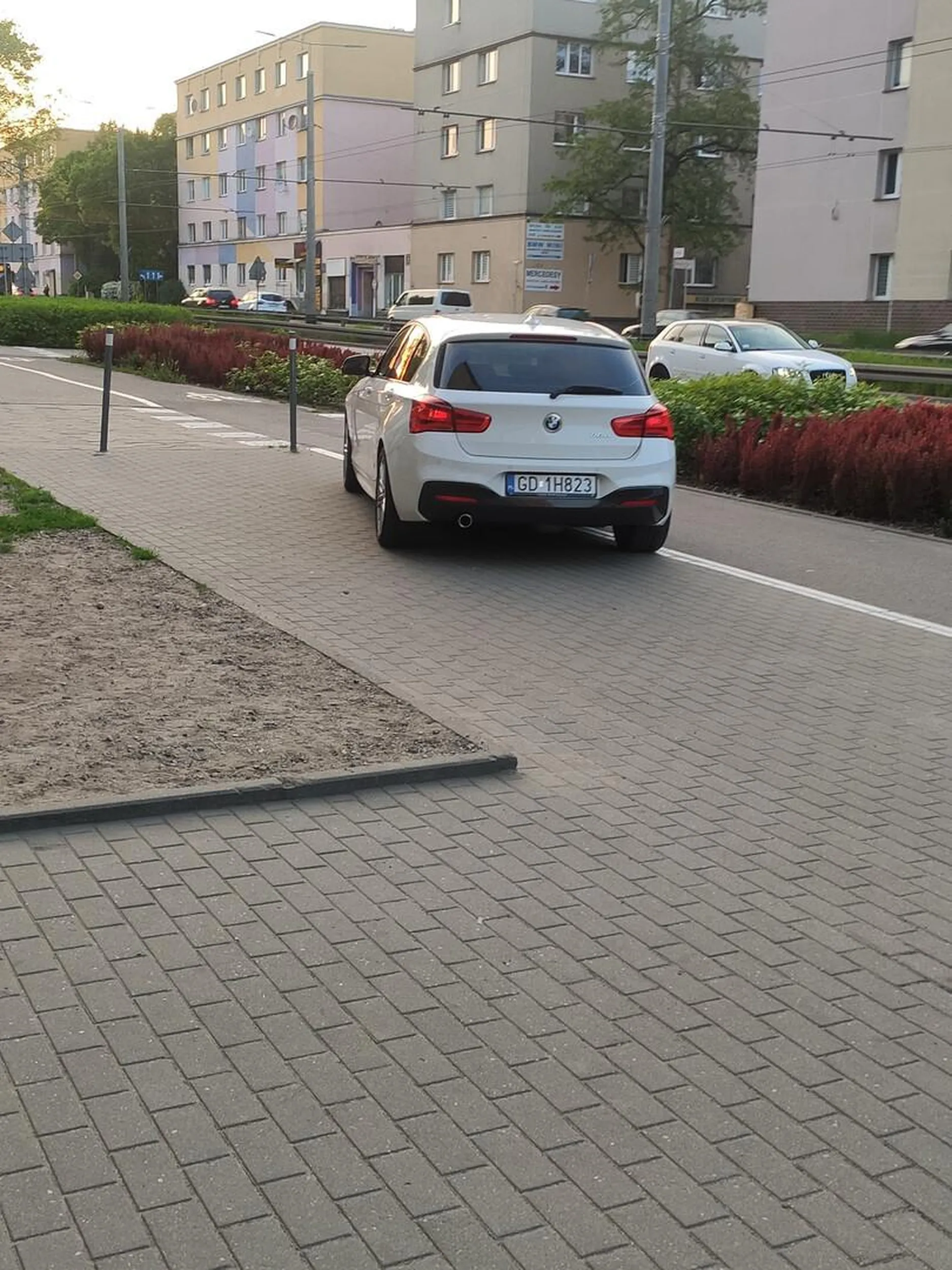 Władczyni chodników i ścieżek rowerowych