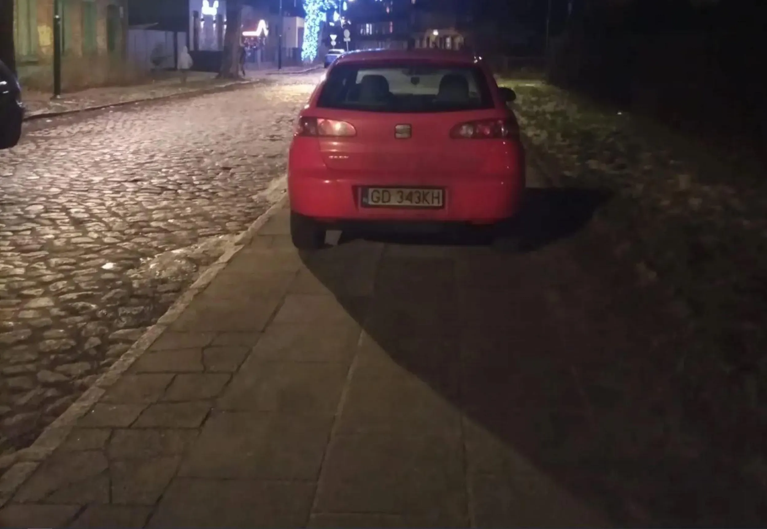 Władczyni gdańskich chodników