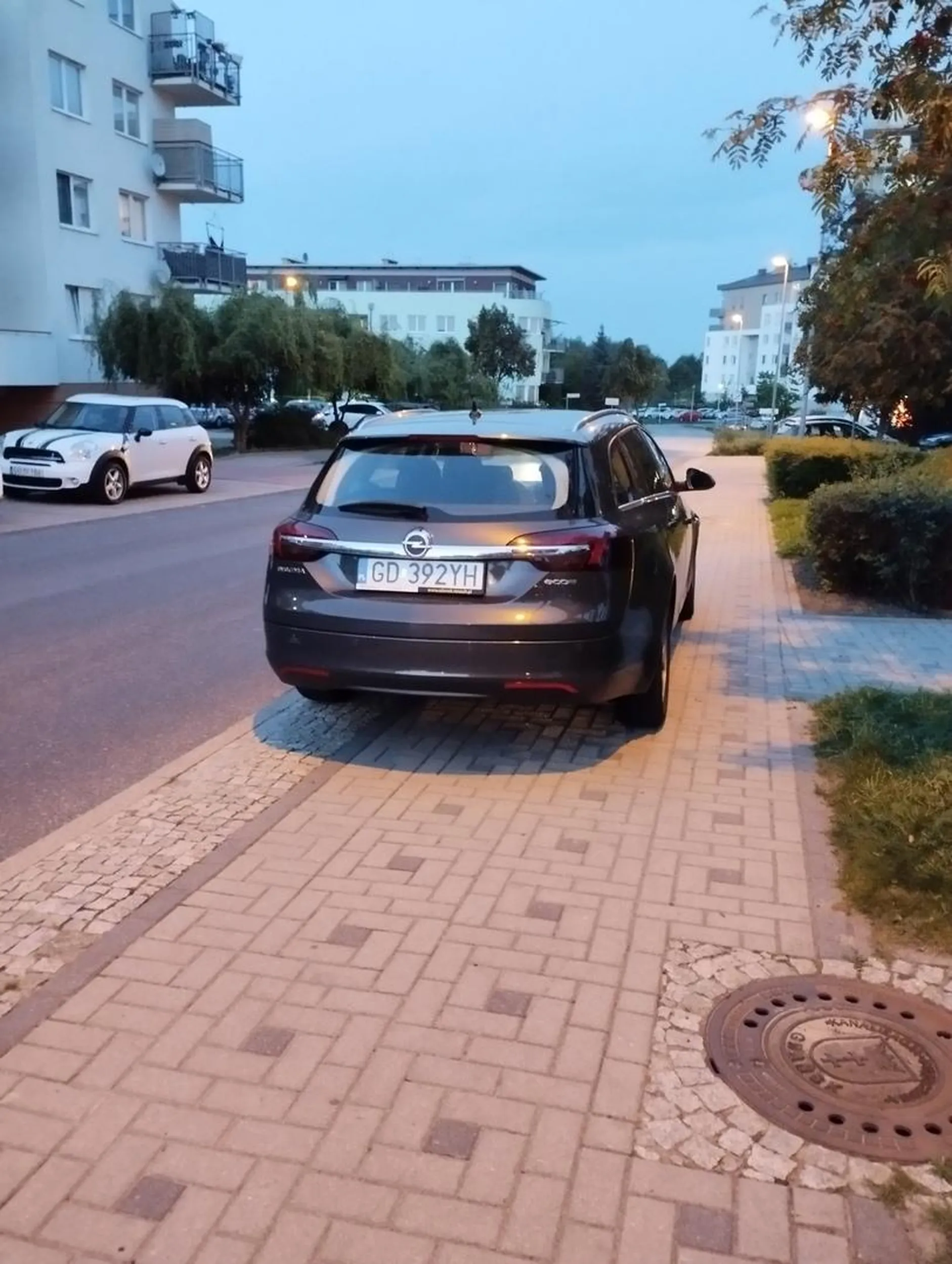 Zastawianie chodnika, parkowanie na chodniku w miejscu niedozwolonym.