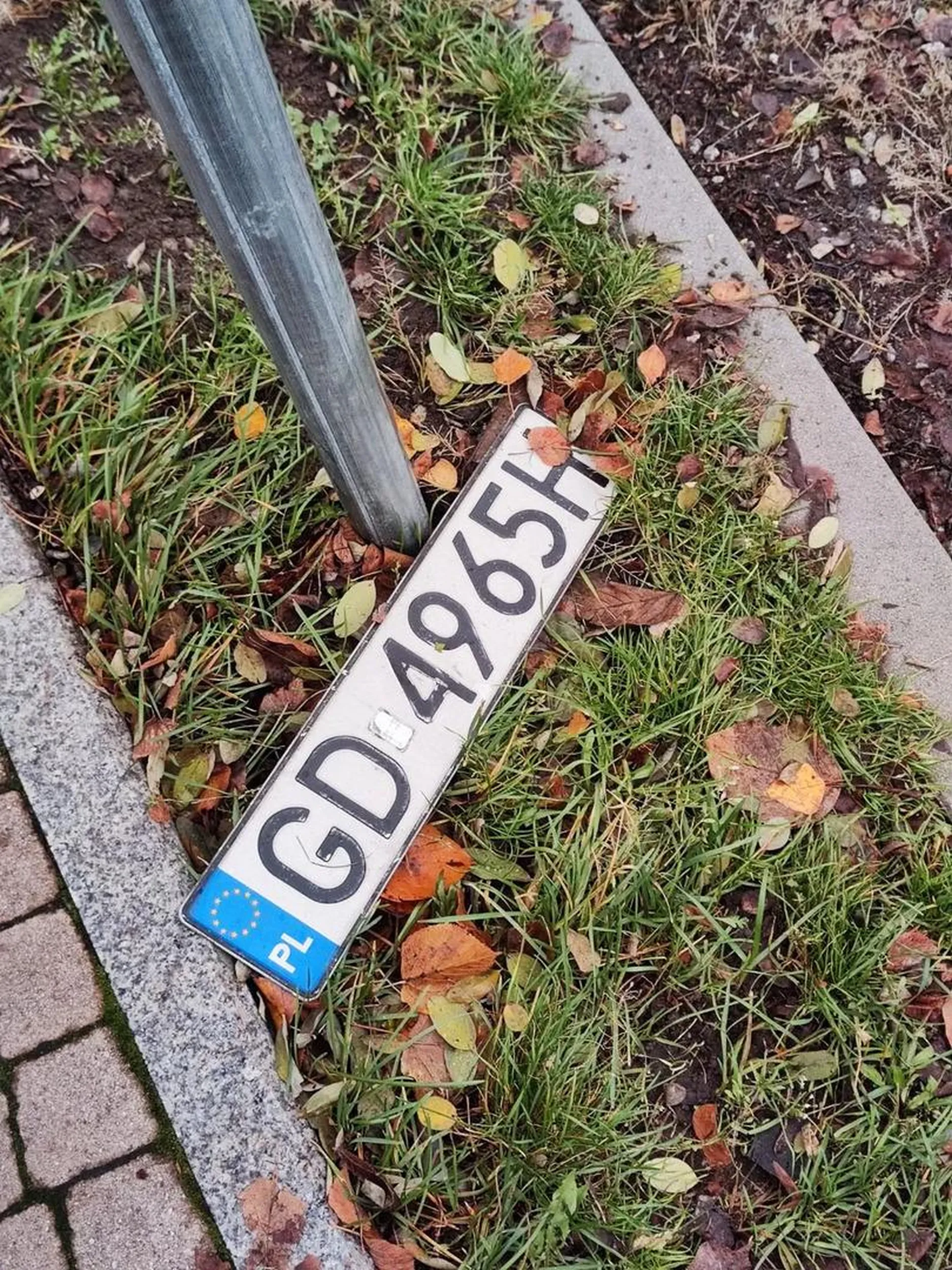 Leży przy zatoczce dla służb przy Lidlu w Sopocie, kierunek Gdynia