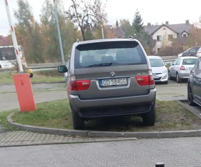 Rozjeżdża trawniki, niszczyć zieleń. Ciężko kawałek dalej zaparkować i ruszyć nogami?