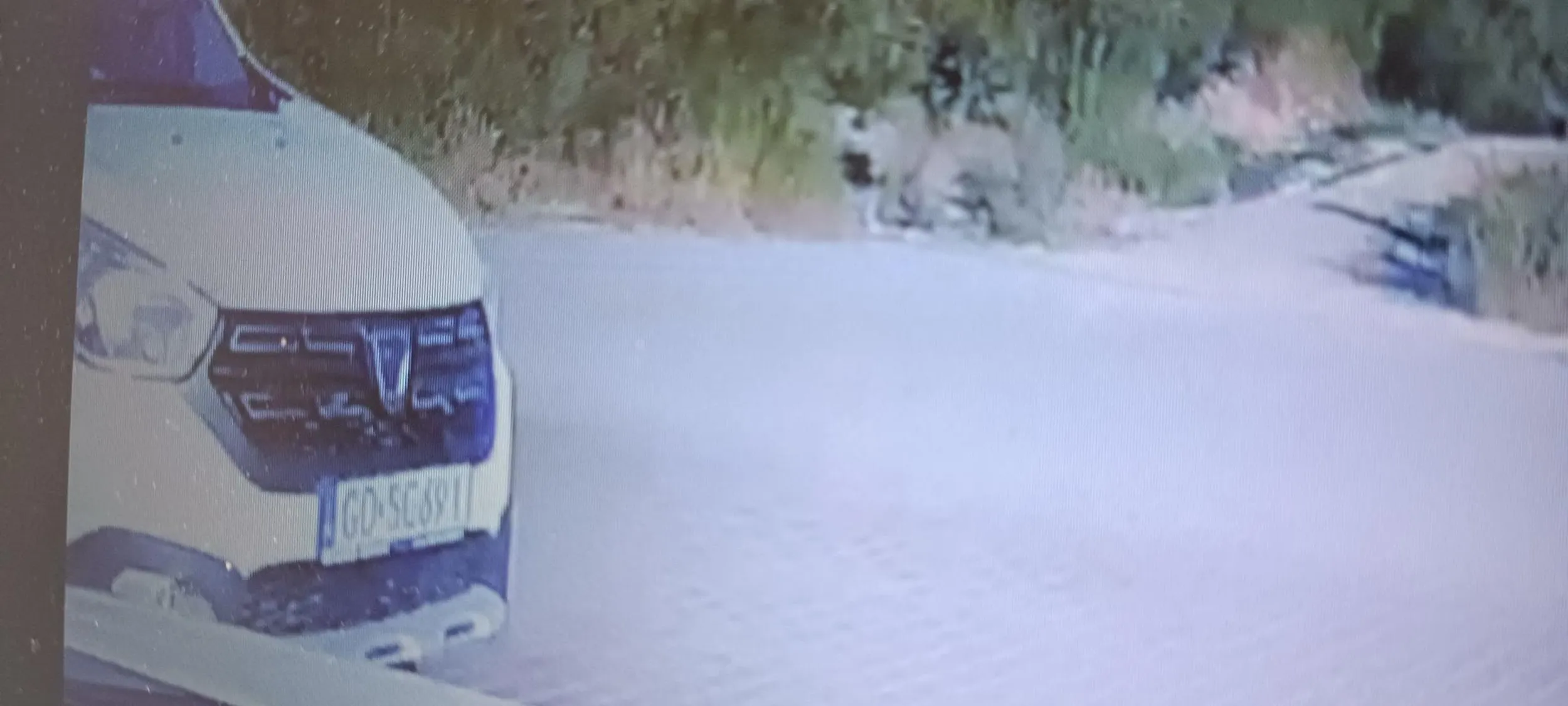 Młoda farbowana blondynka. Chyba prawo jazdy znalezione w chipsach. Próbuje wymusić pierwszeństwo, przy zwróceniu uwagi pokazuje środkowy palec i cieszy się jak małe dziecko.