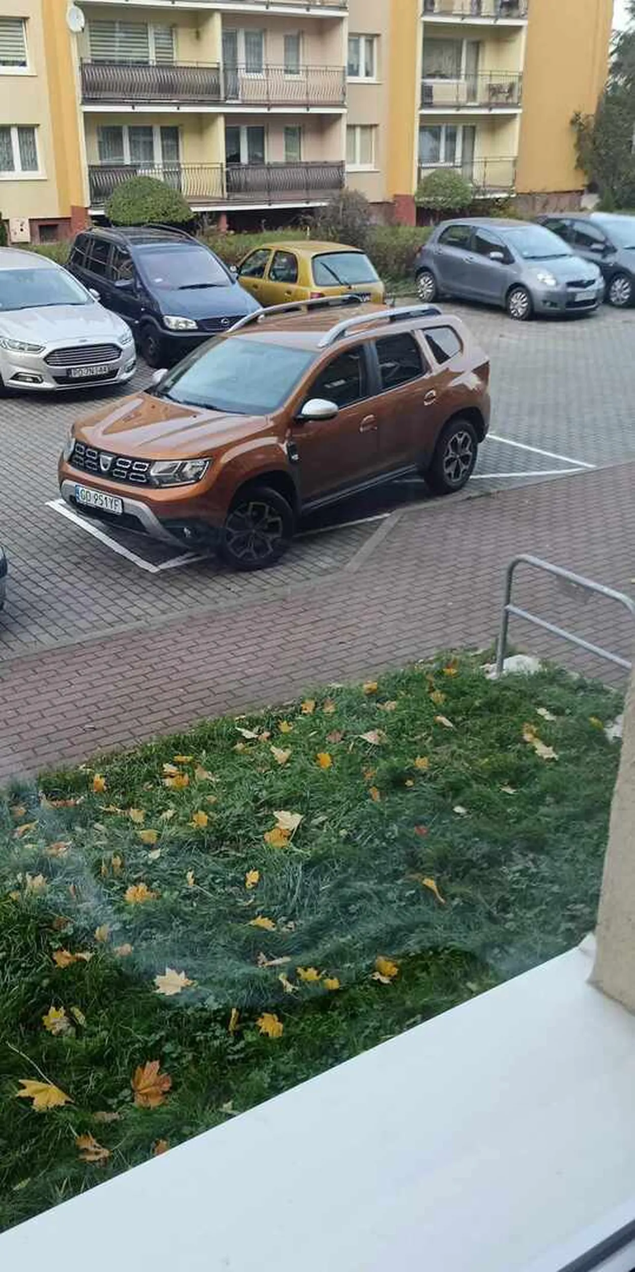 Prawo jazdy zdobyte w chipsach o jej umiejętnościach parkowania nie wspomnę(aż strach stawiać auto obok niej)