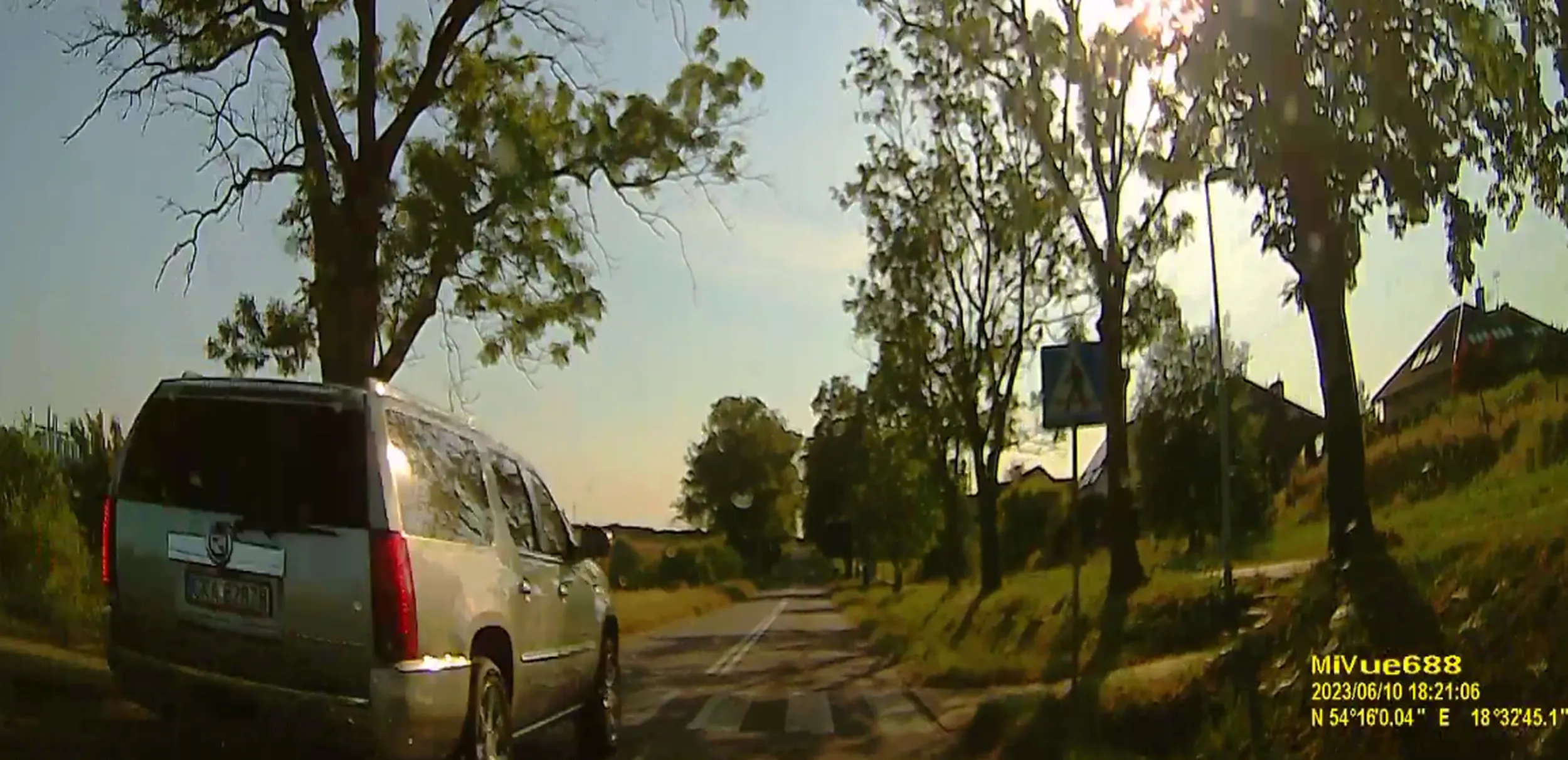 Specjalność: wyprzedzanie na przejściach dlapieszych