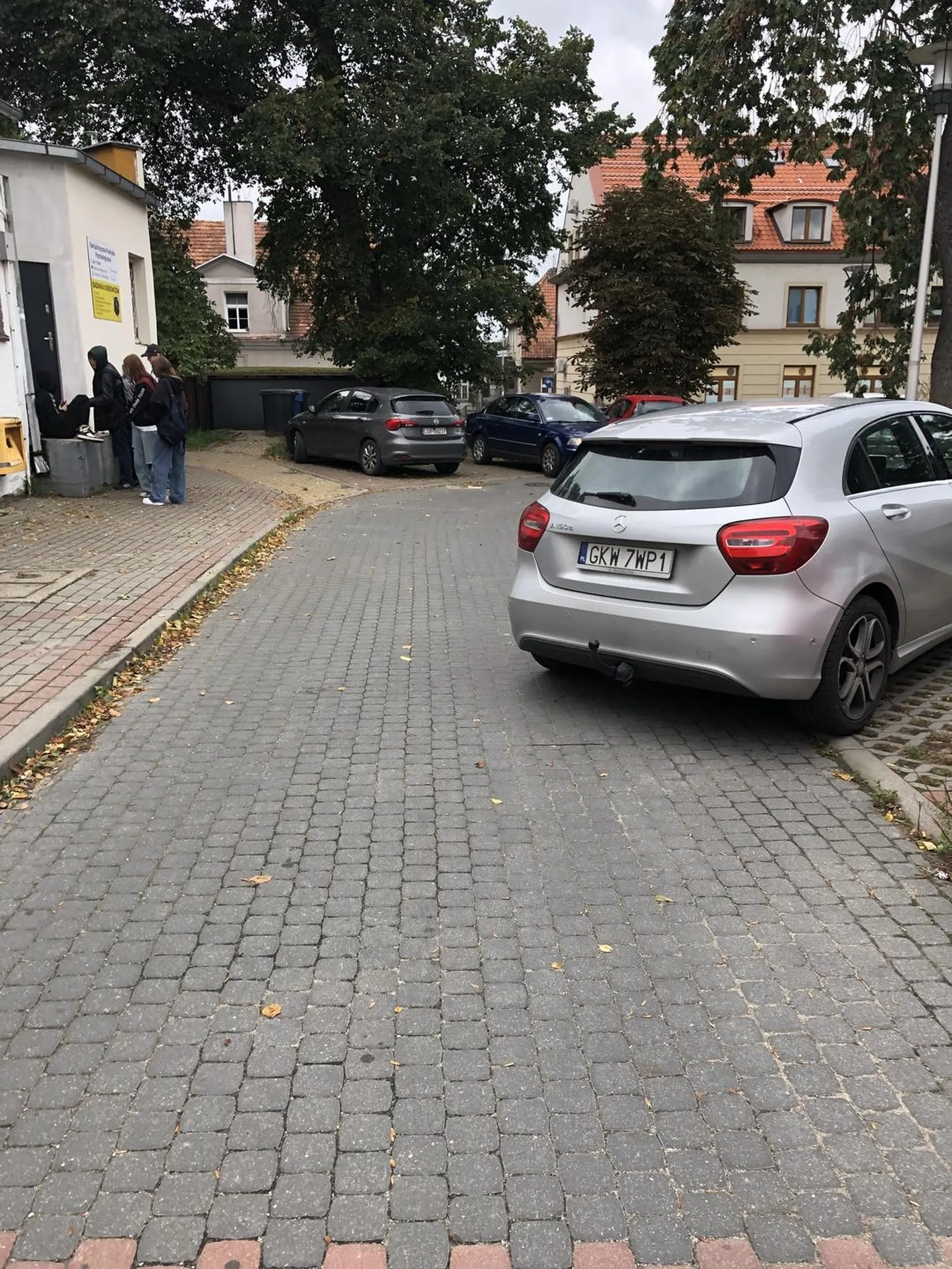 Babka nie umie parkować, karny kutas by się przydał na szybe