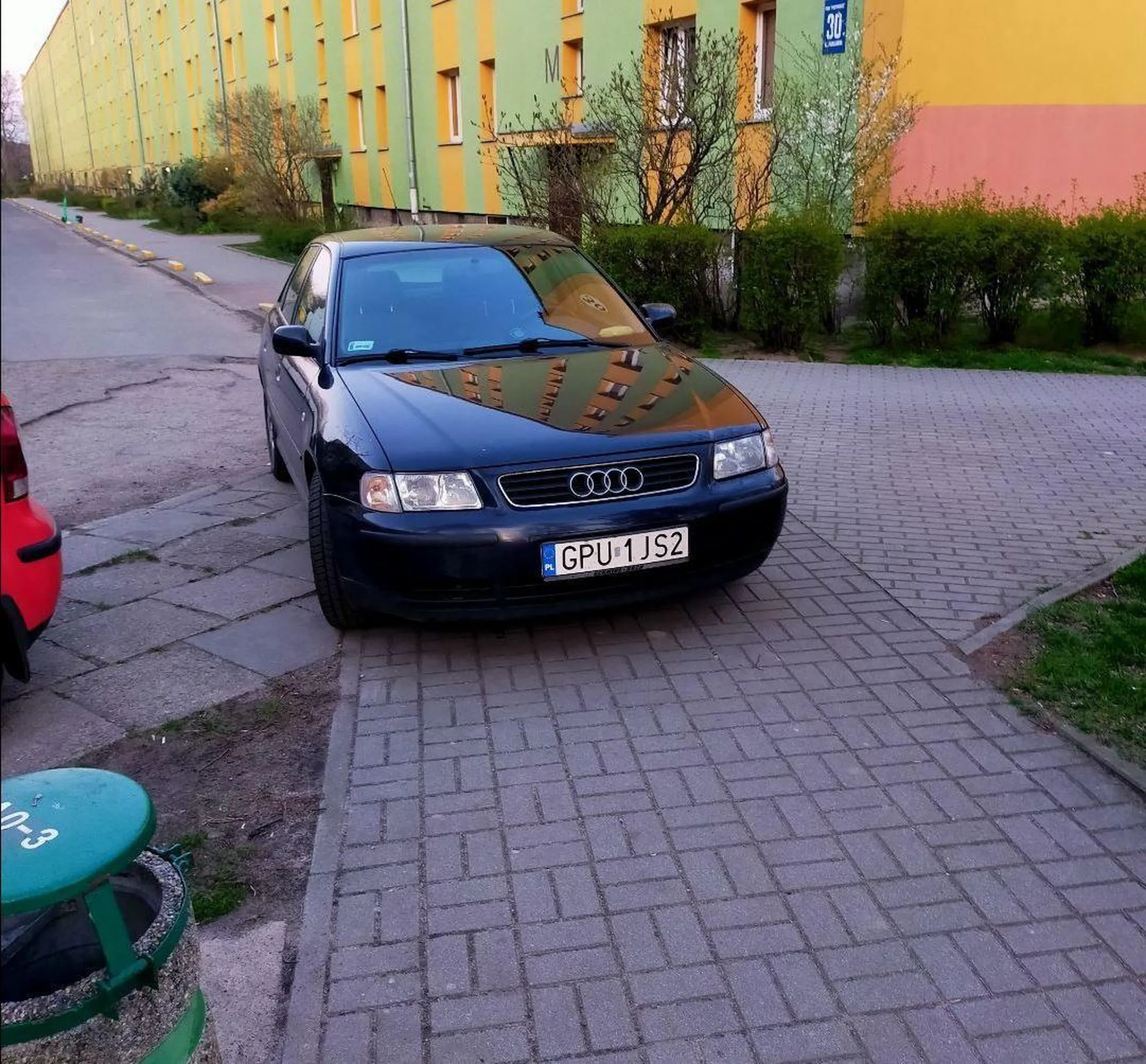 Władca gdańskich chodników