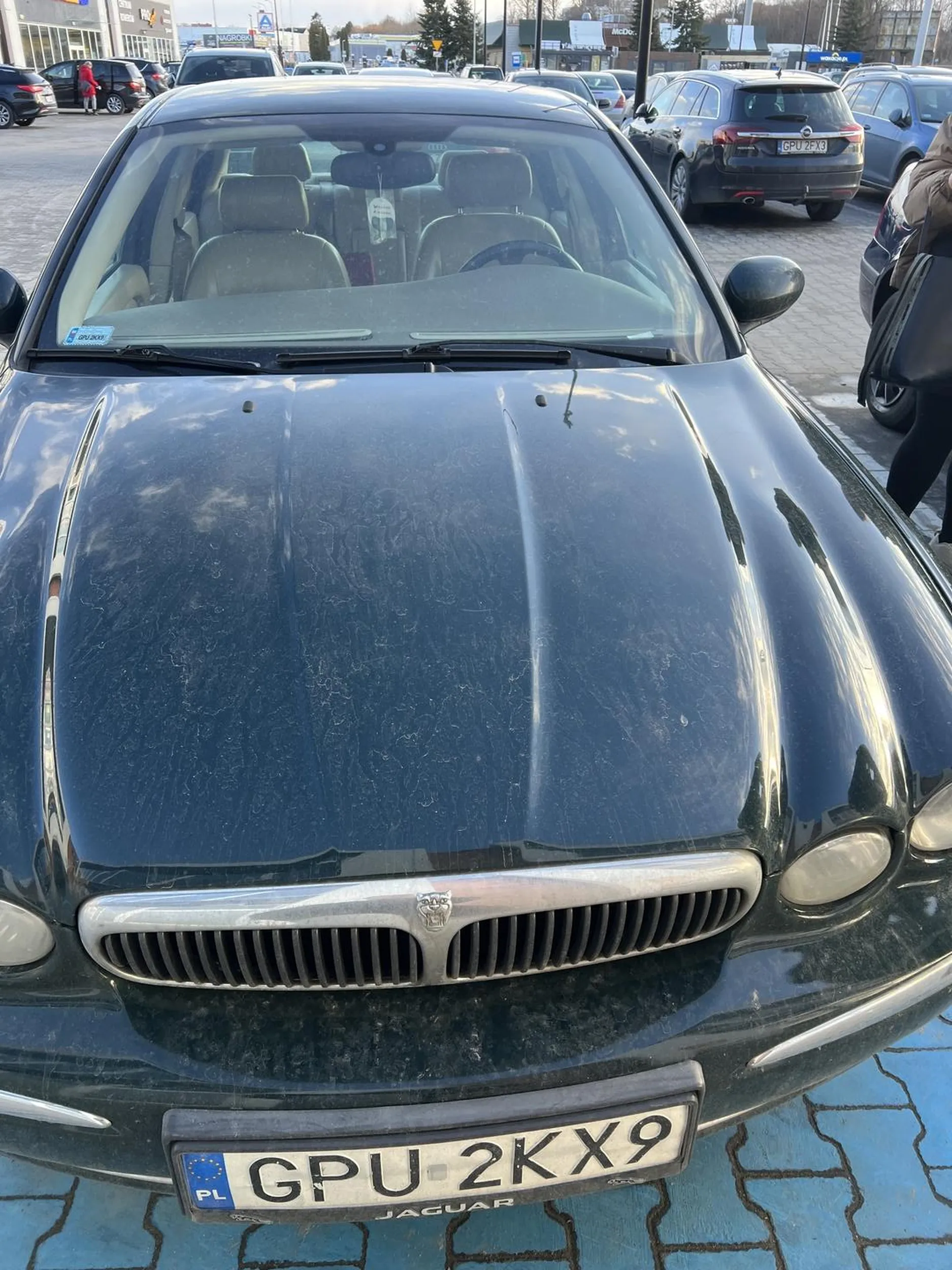 Jak widac brak mózgu i bycie cepem to wystraczająca niepełnosprawność żeby parkować na miejscu dla inwalidy bez pozwolenia