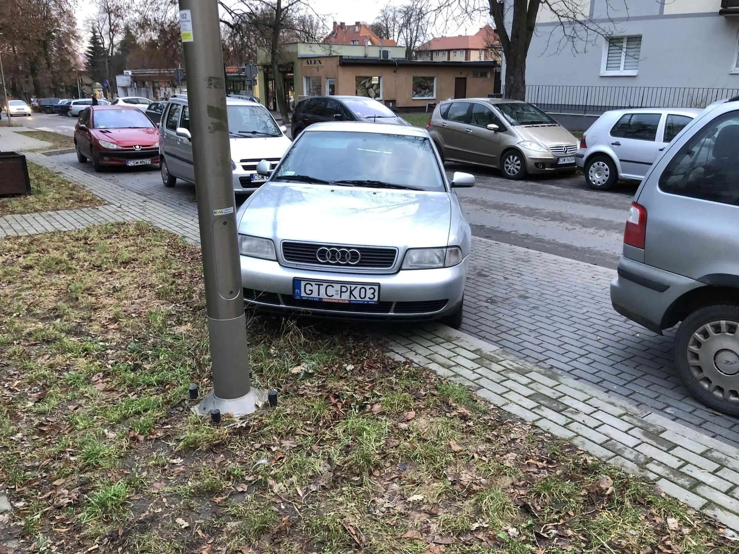 Samochód zaparkowany w karygodny sposób, kierowca lekko wyjechał za krawężnik na pobliski trawnik. Nie pozdawiam