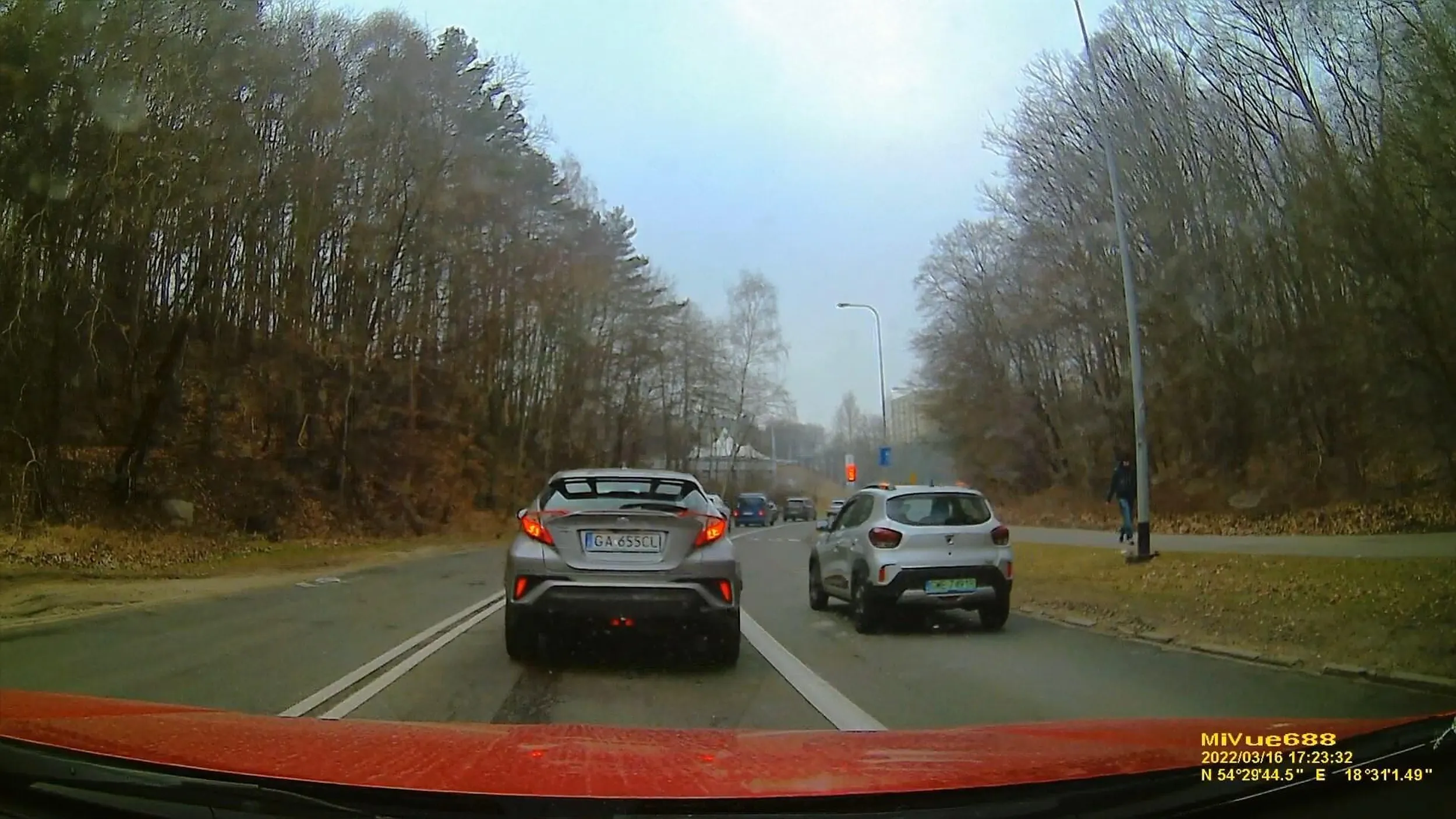 Cwaniak z miodem w uszach wyprzedzający wszystkich bus pasem