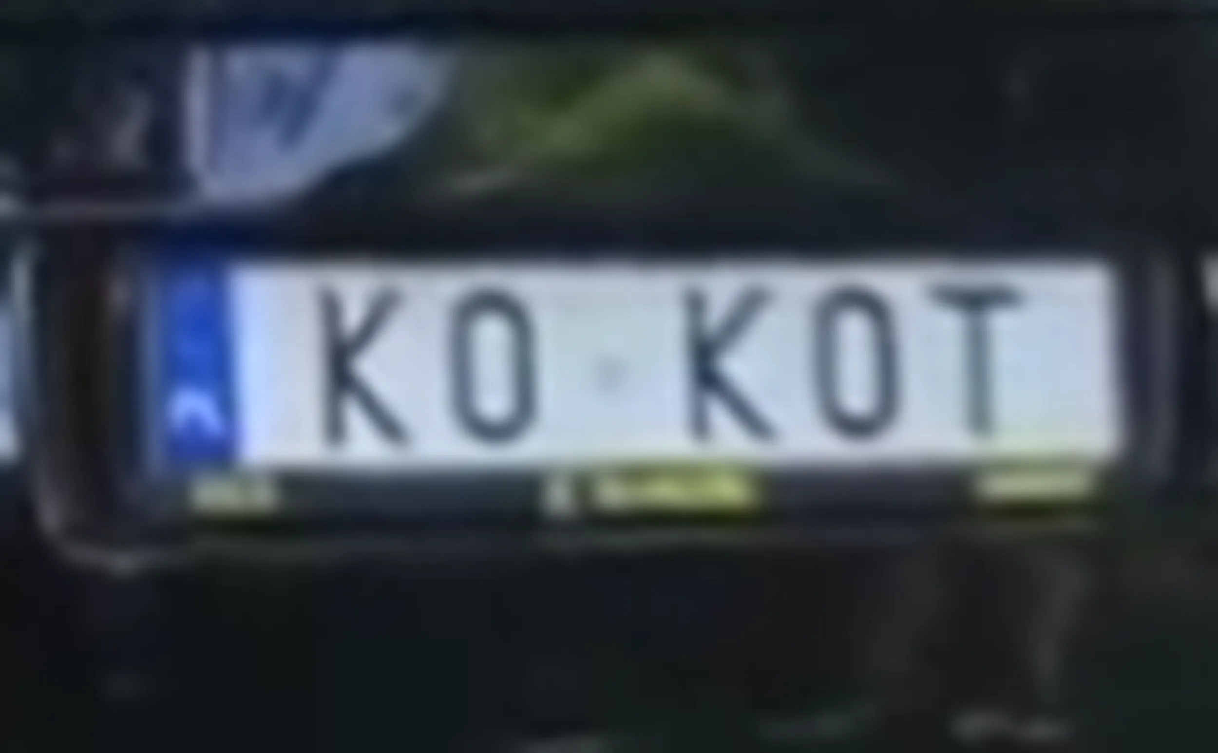 Słowaccy kierowcy rozumieją