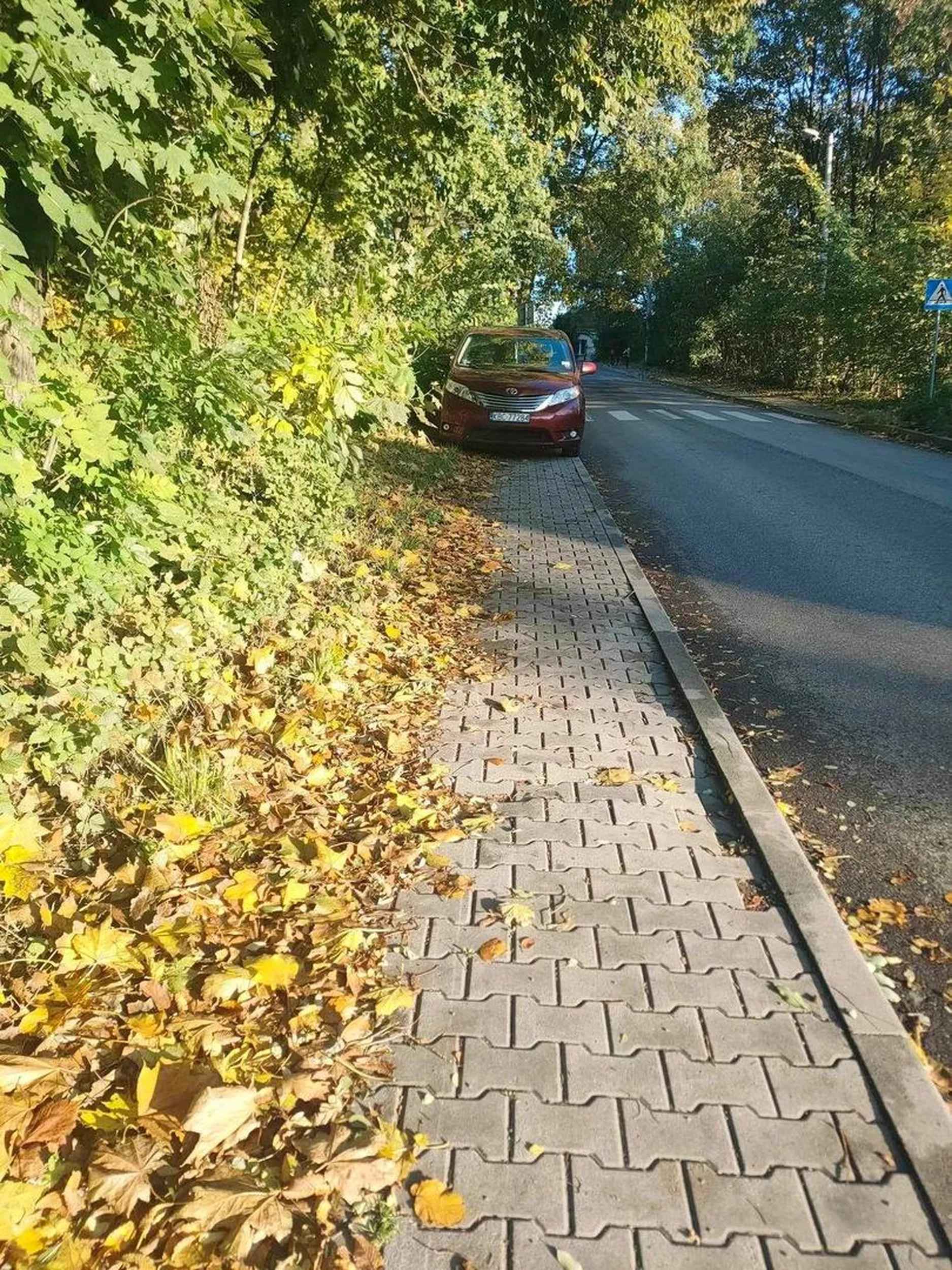 Co za kierowca!! Jak tu przejść!!