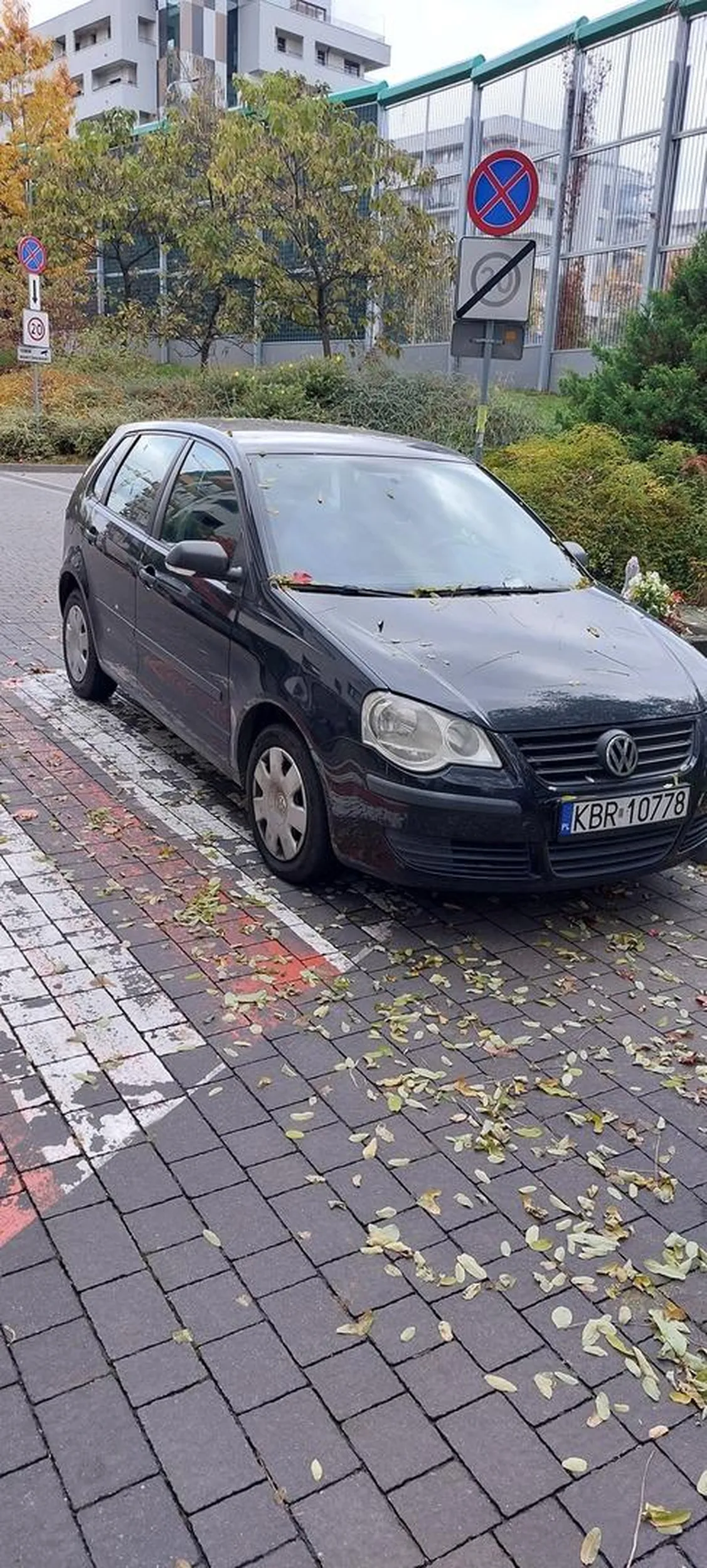 Widać że wsi i nie rozróżnia przejścia od parkingu.