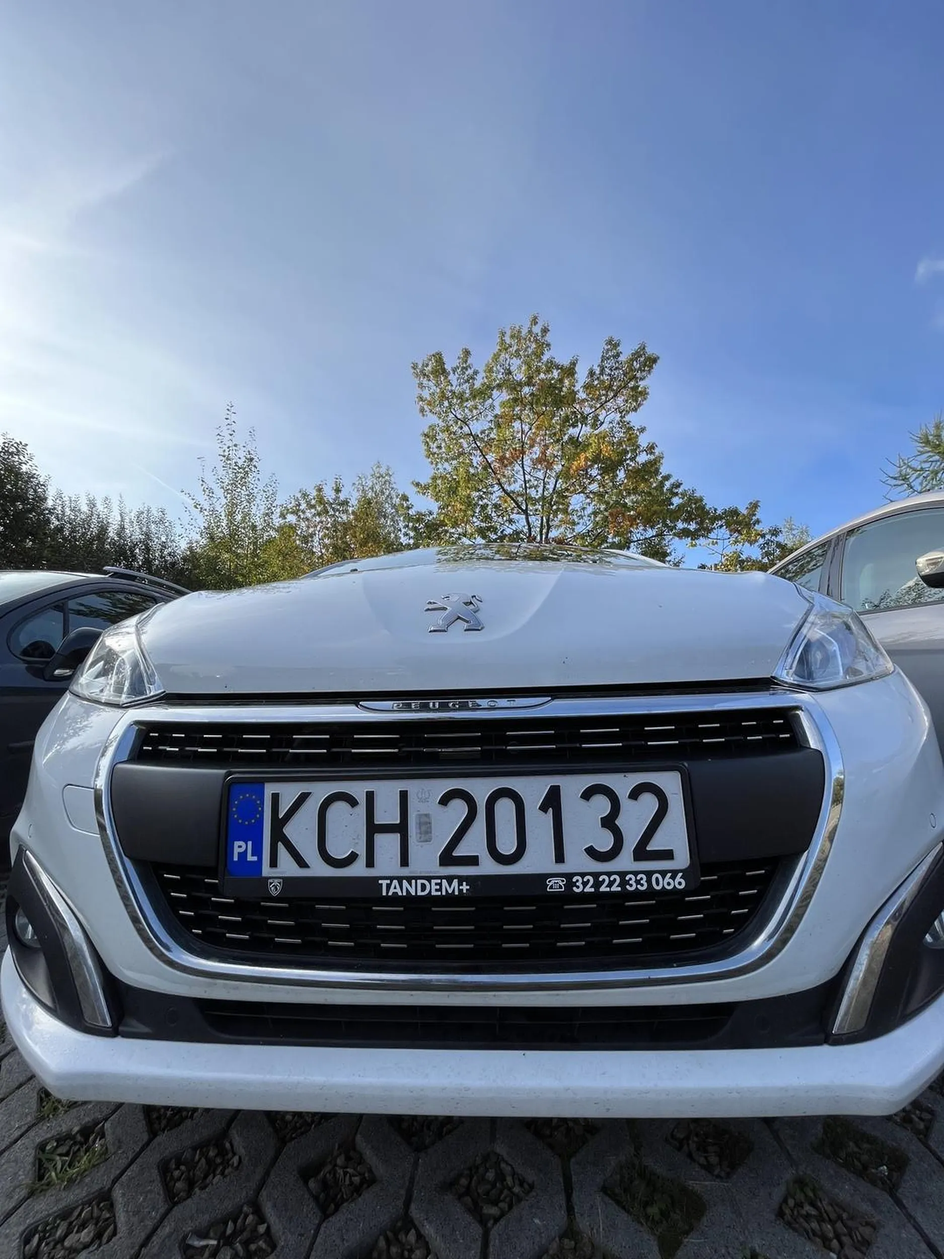 Ten kierowca jest niebiezpieczny