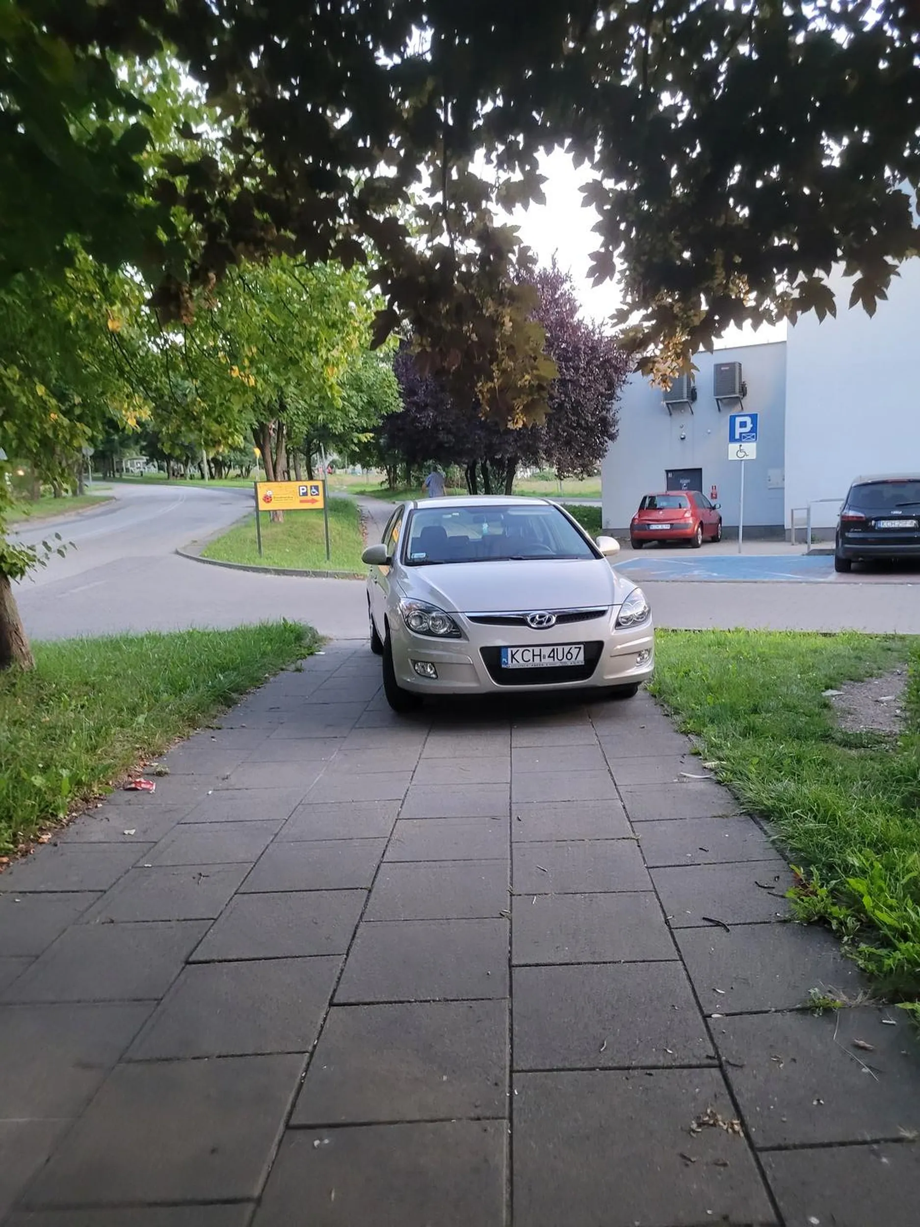 Zajebiste miejsce parkingowe ziomek