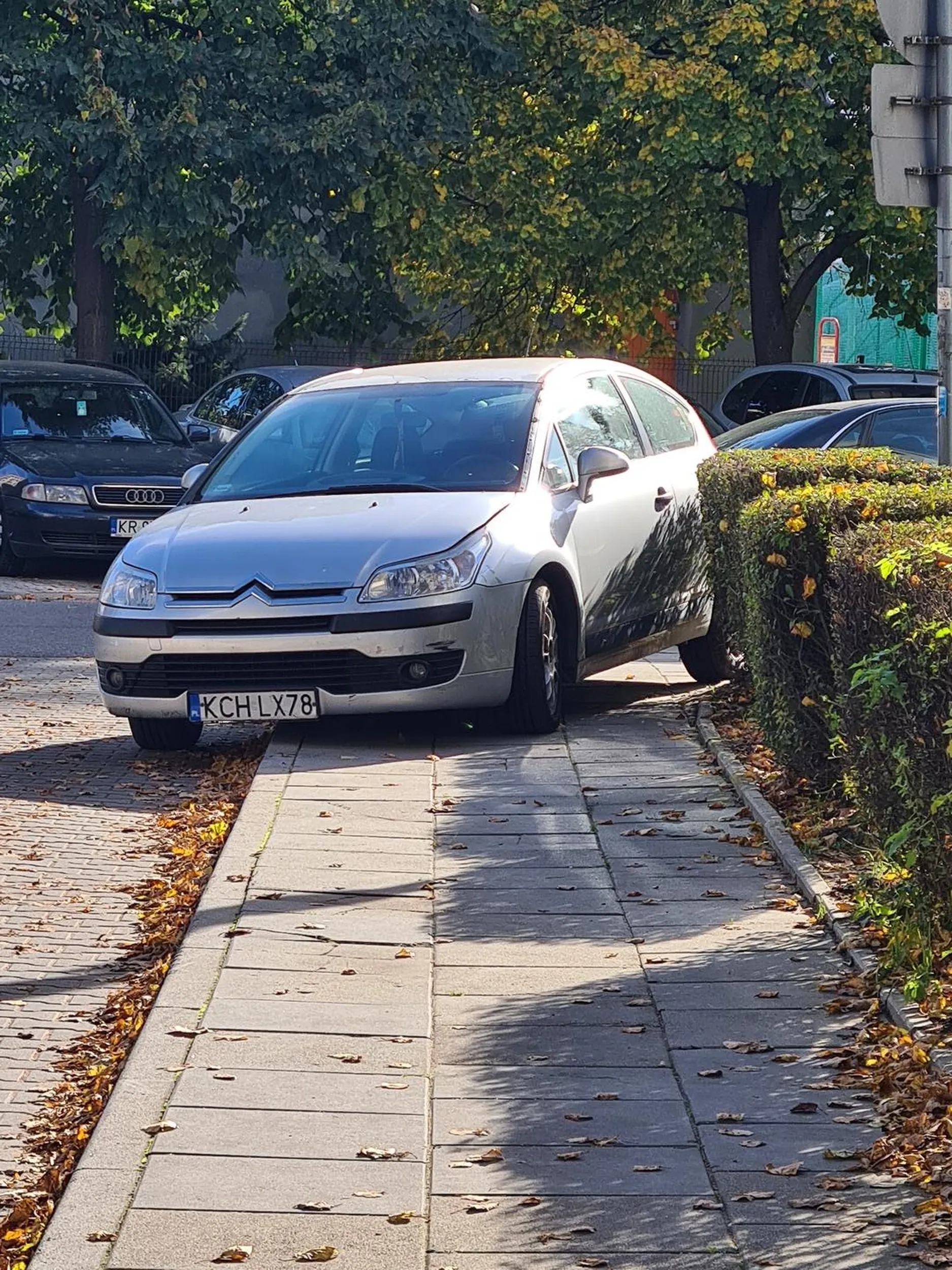 Ch.am korzenny rodem z Chrzanowa przyjechał do Krakowa i postanowił zablokować swoim śmietnikiem cały chodnik,jak nie umiesz się zachować to wracaj do siebie