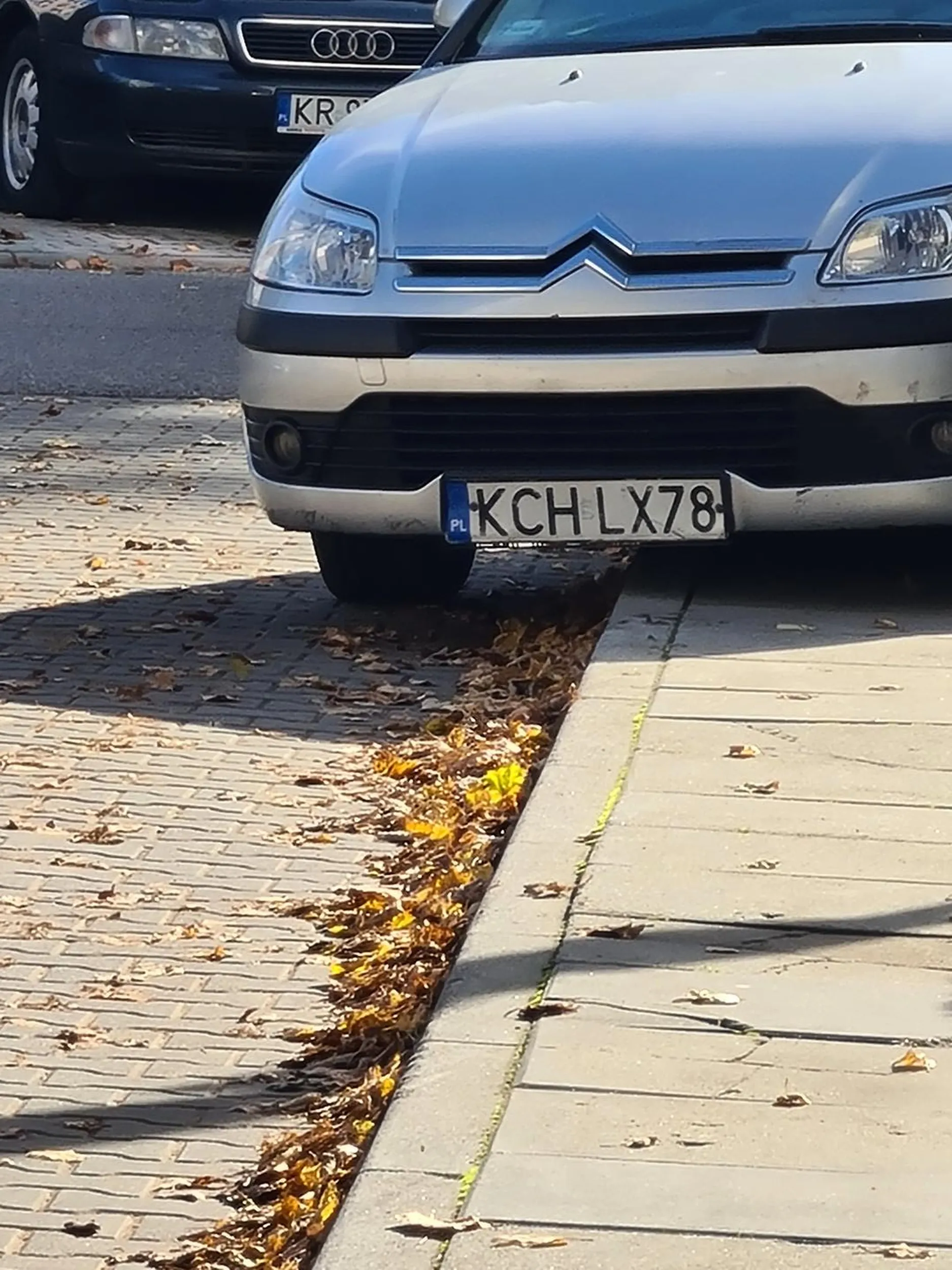 Ch.am korzenny rodem z Chrzanowa przyjechał do Krakowa i postanowił zablokować swoim śmietnikiem cały chodnik,jak nie umiesz się zachować to wracaj do siebie