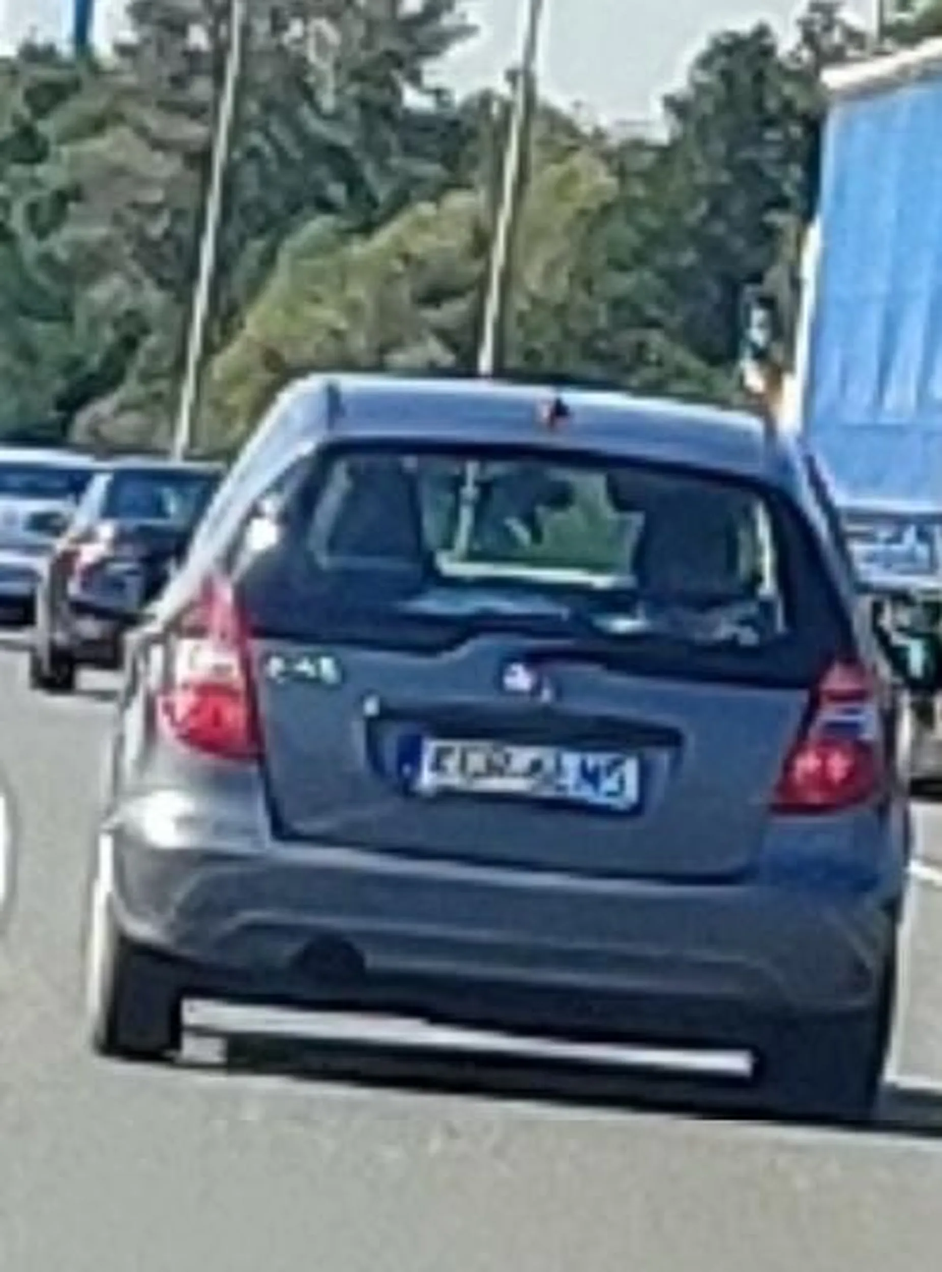 Buce z Krainy Gryki i Rzepaku, bosi amatorzy ? lewego pasa, nie dający się wyprzedzić - pędzący pewnie po nasiona