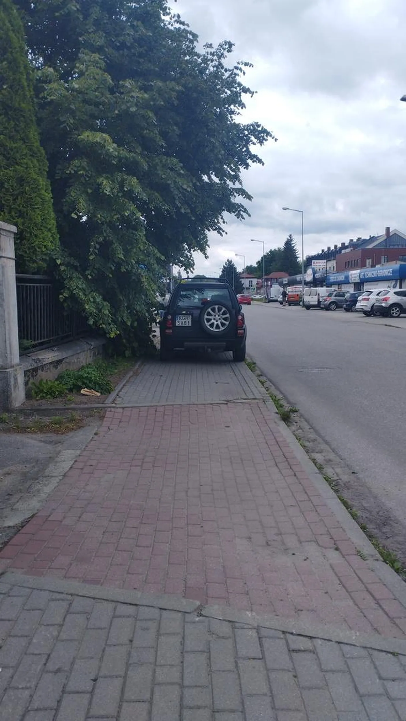 naucz się parkować