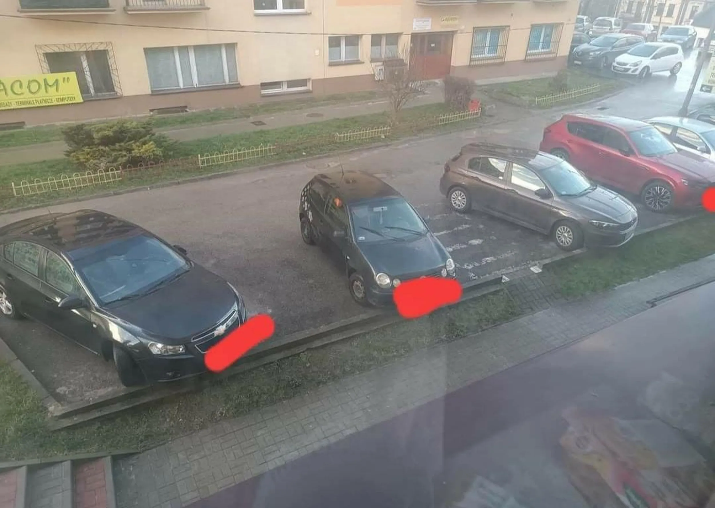 Nie polecam pani nie umie parkować, prawo jazdy wygrane w chipsach