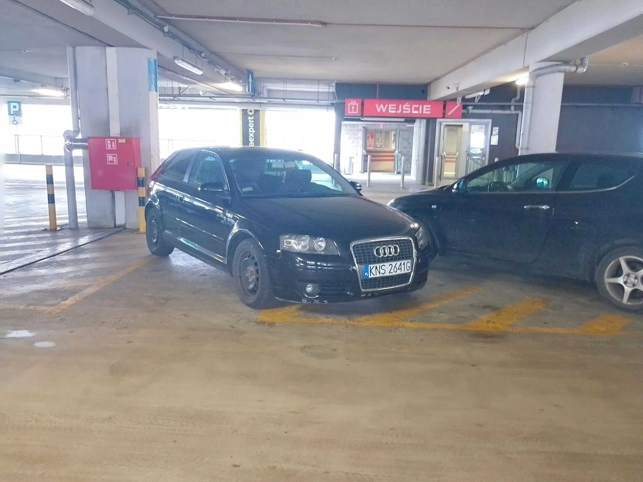 Przyjechałem z Nowego Sącza do galerii Rondo w Bochni. Wszyscy zwróćcie na mnie uwagę! Halo ja z Nowego Sącza! Możecie uderzać we mnie wózkami zakupowymi bo stanąłem na alejce.