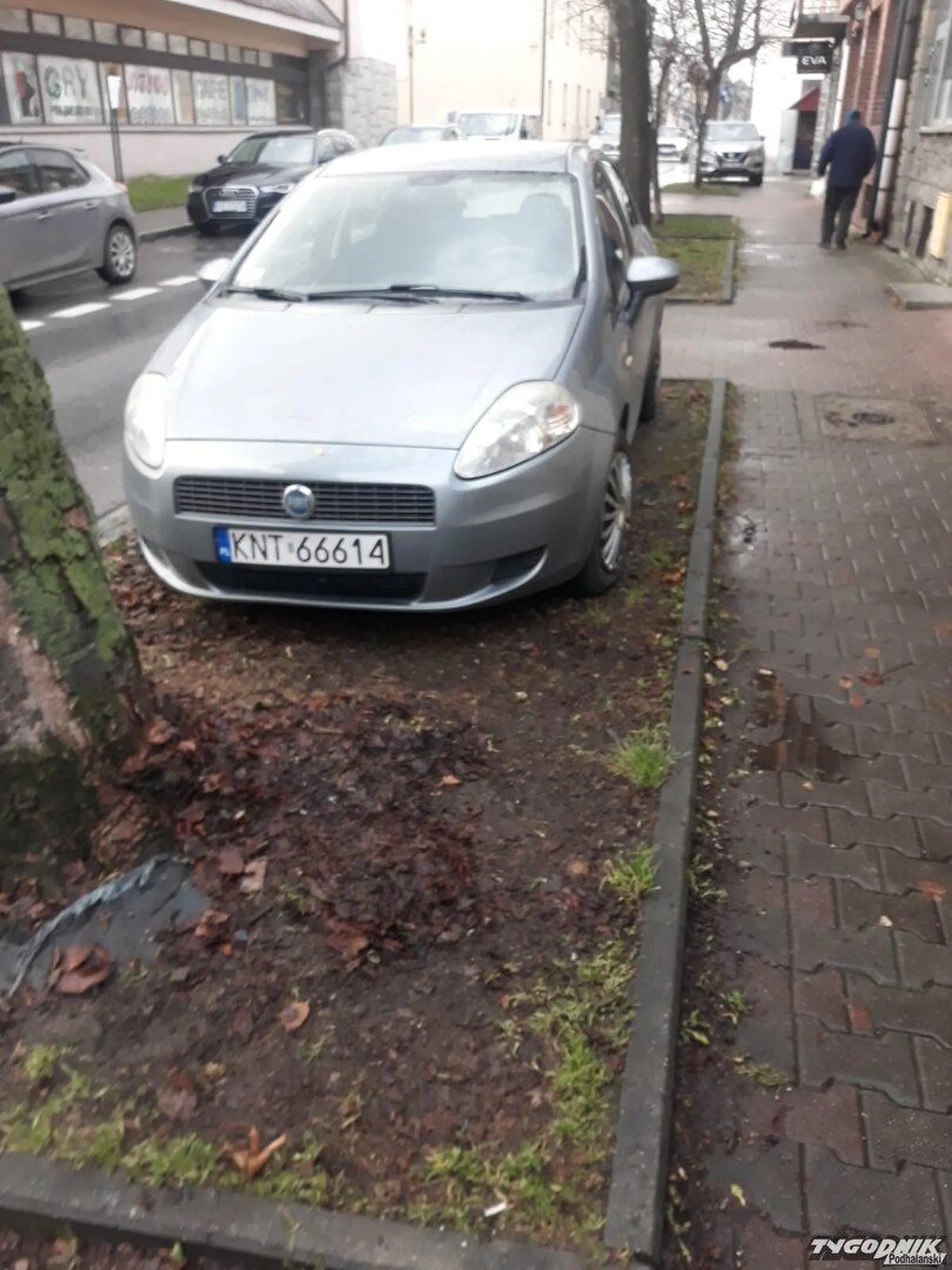 Notoryczne parkowanie na zieleńcu mimo wielu płatnych parkingów w pobliżu