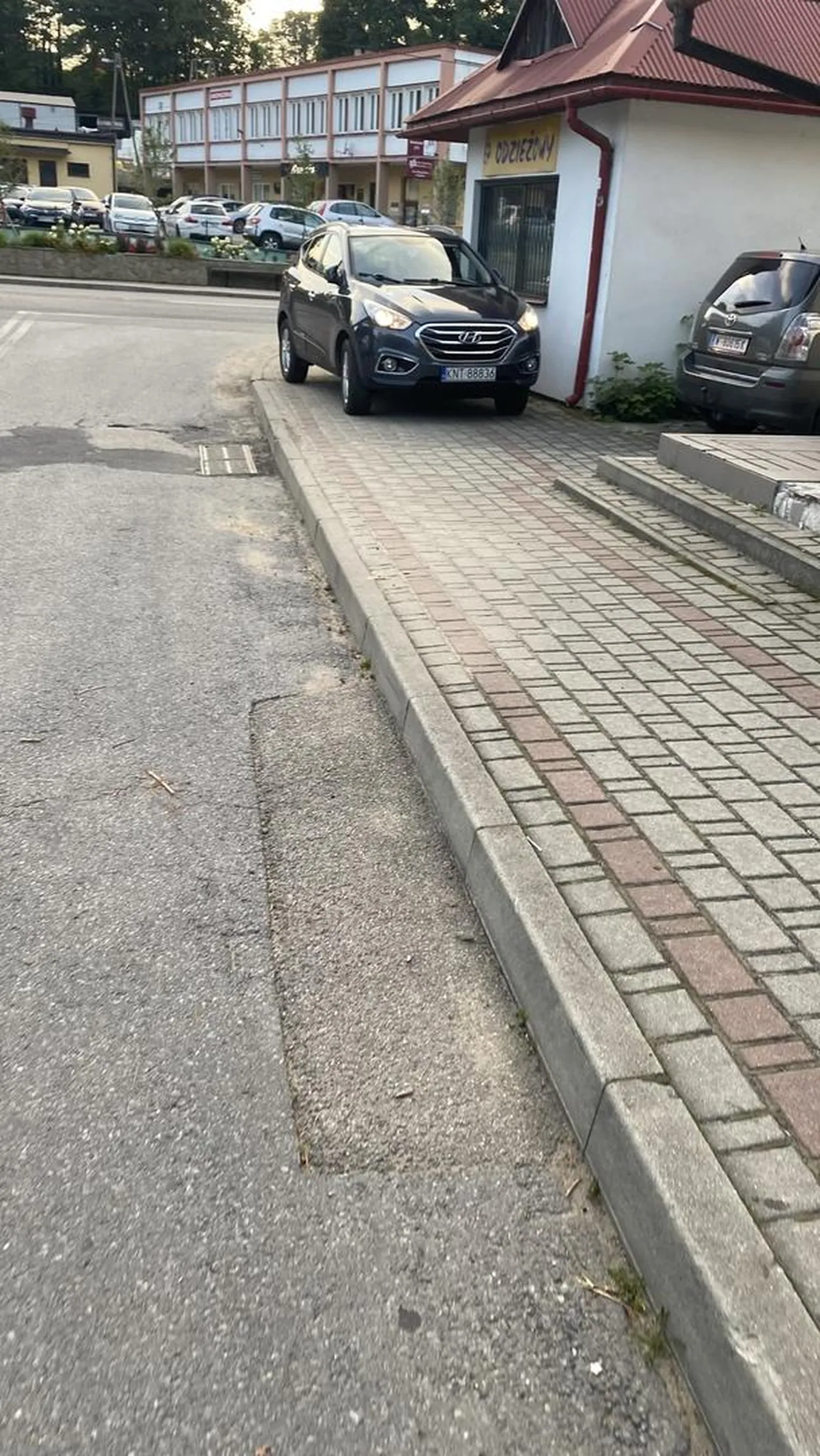 Przyjechała święta krówka niszczyć chodnik tym czołgiem