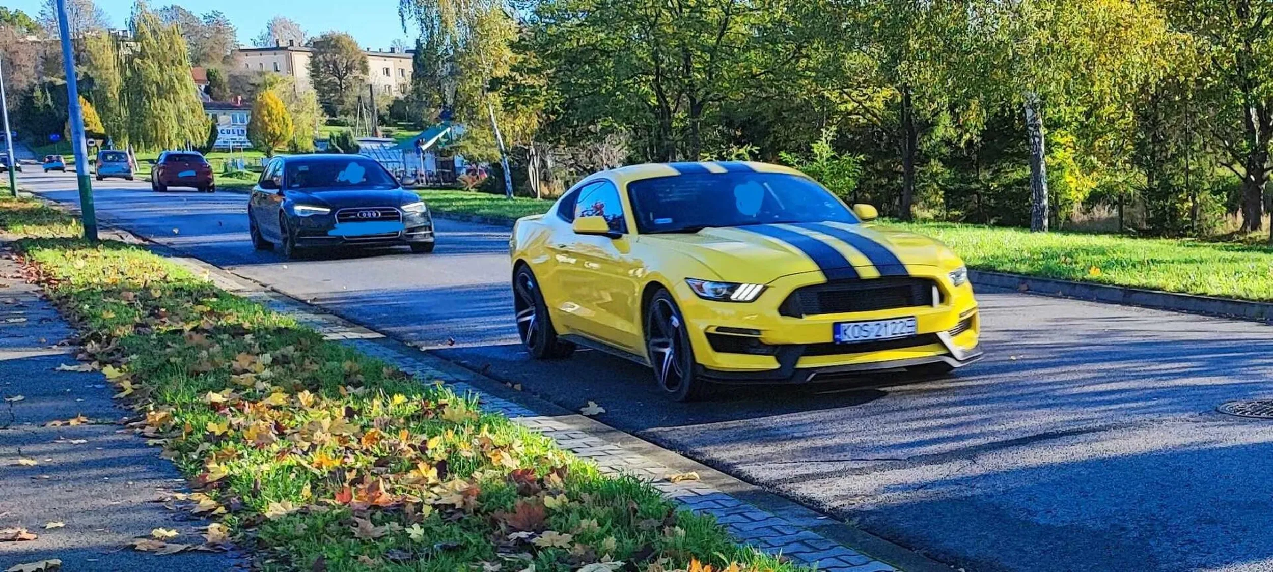 Ford Mustang Shelby GT350 2015