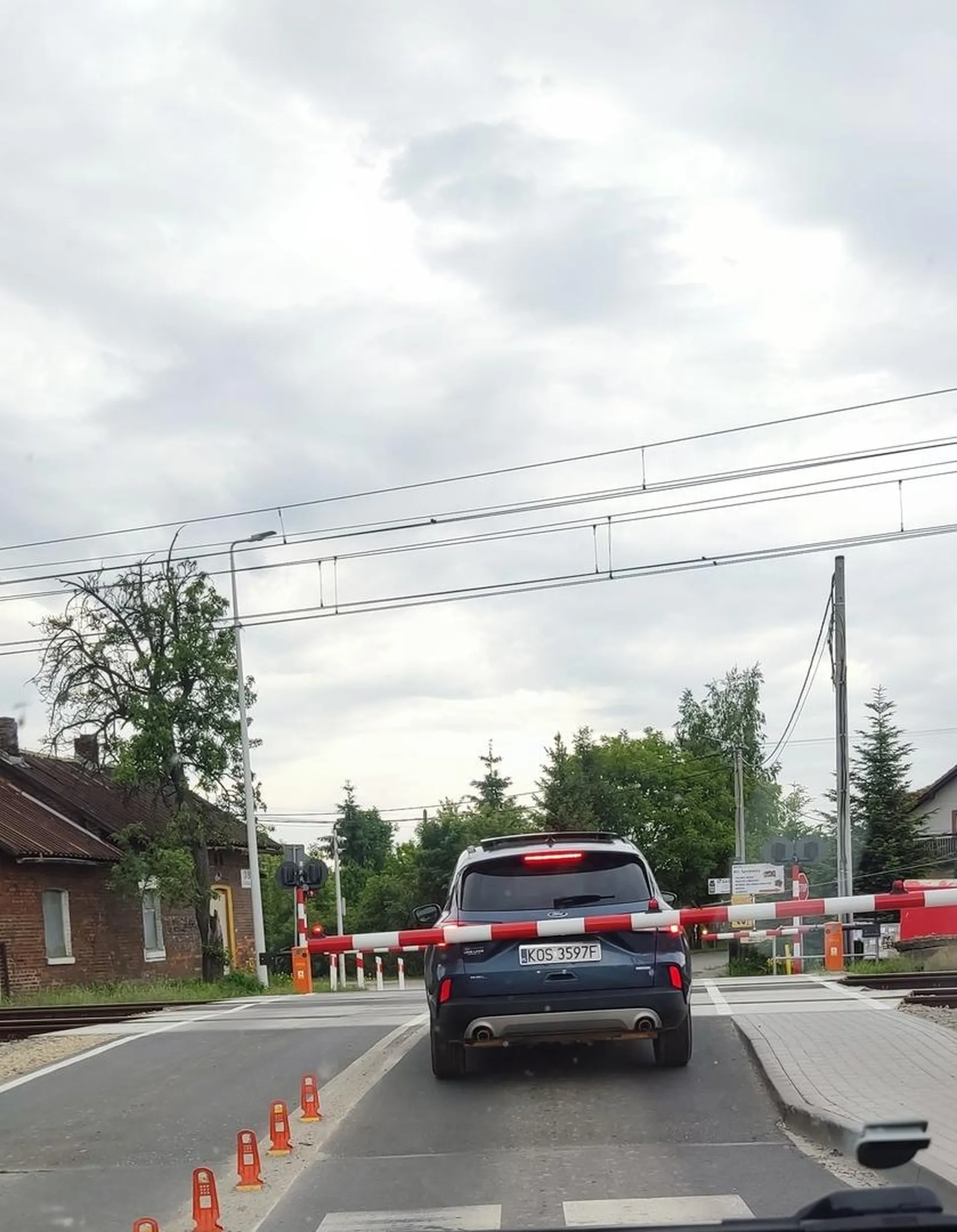 Gratuluję głupoty?