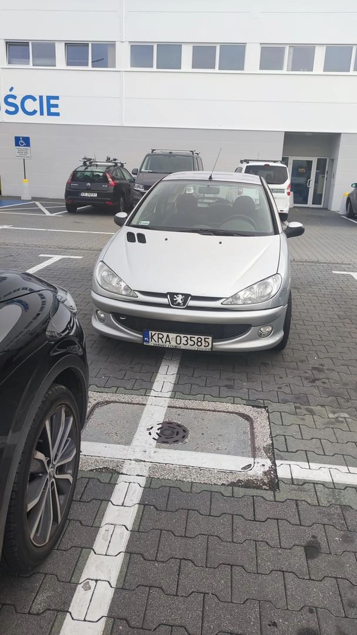 Szkoda strzępic ryja