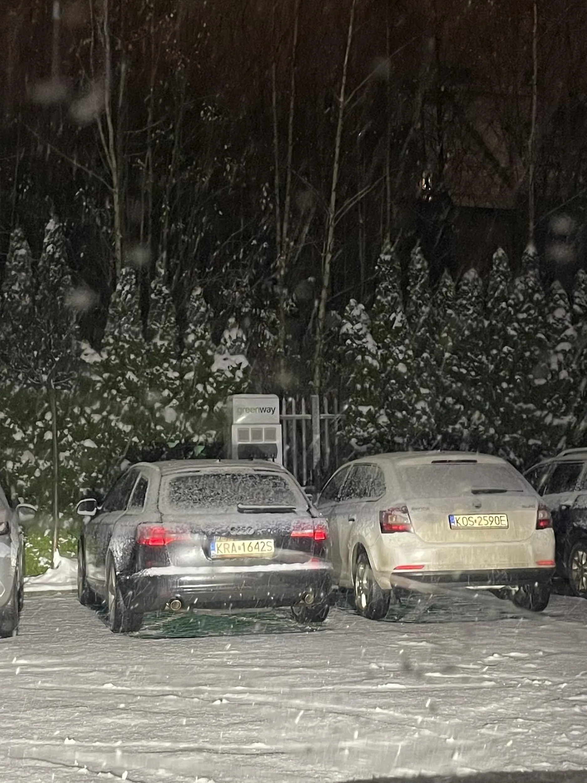 We dwóch na miejscu do ładowania samochodów. Jeden głupszy od drugiego.